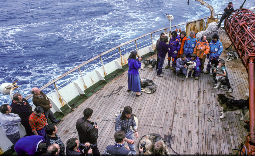 CRAFTING THE TRUE STORY: An Exploration Of Creative Nonfiction - Tucson - Image 3