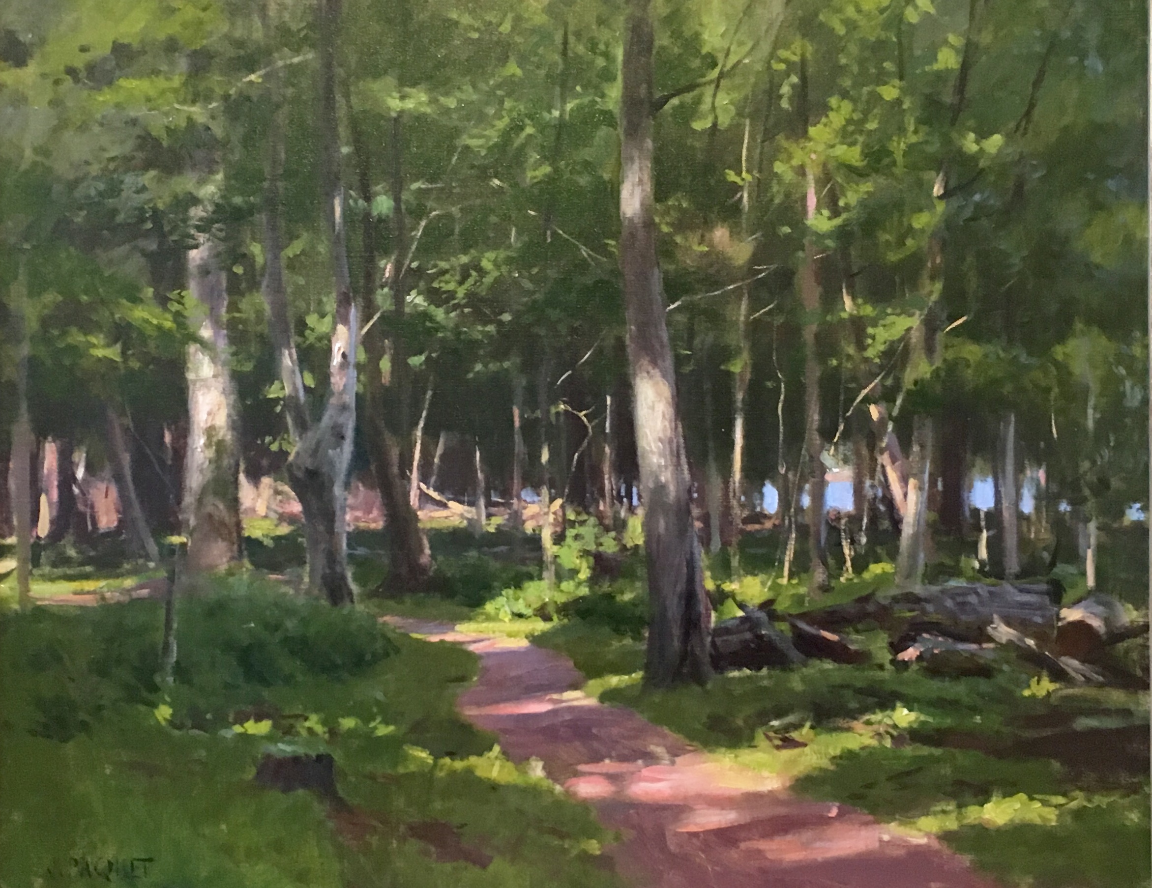 Five Day Plein Air Workshop on Madeline Island - Image 6