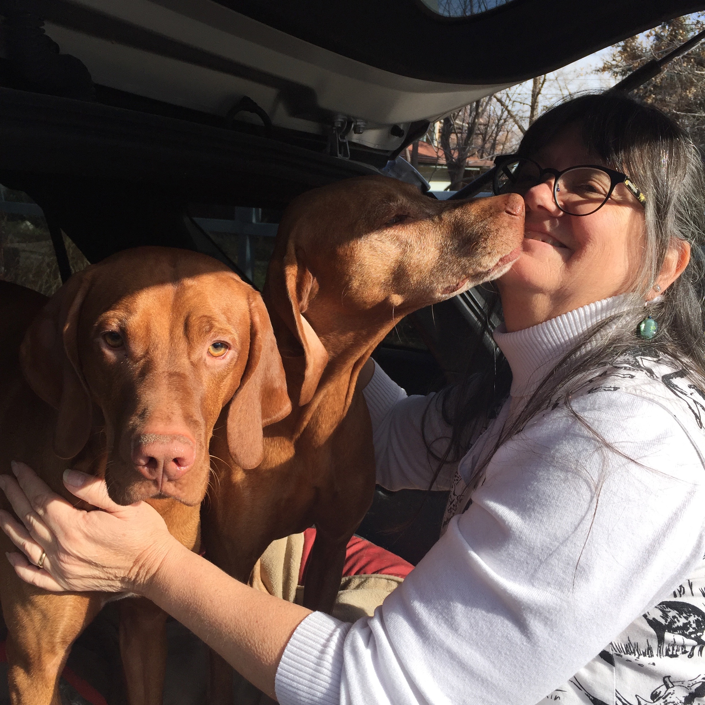 Animals Brought to Life - Madeline Island - Image 7