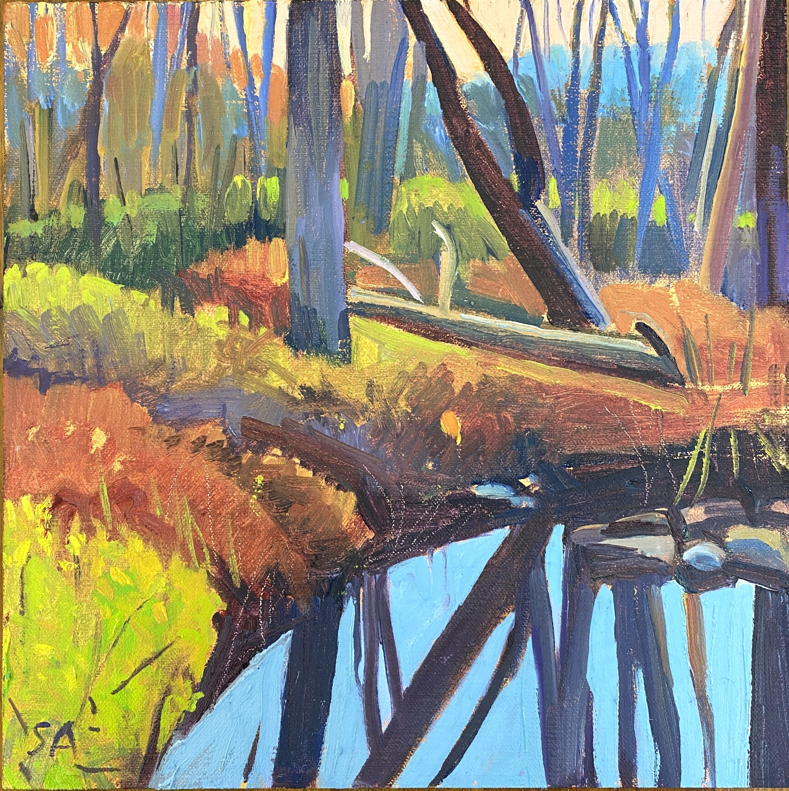 Light and Color in Autumn Maine - 2026 - Image 8