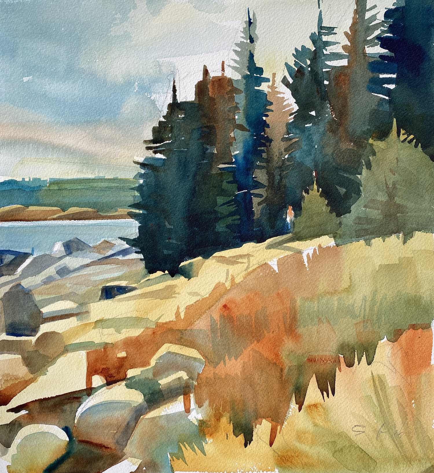 Light and Color in Autumn Maine - 2026 - Image 6