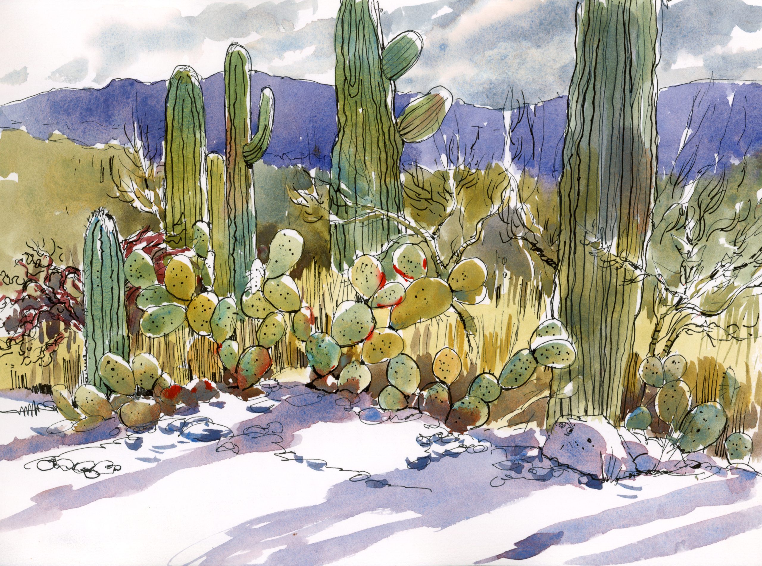 Vibrant Watercolors: Sketching Desert Hues I - Image 12