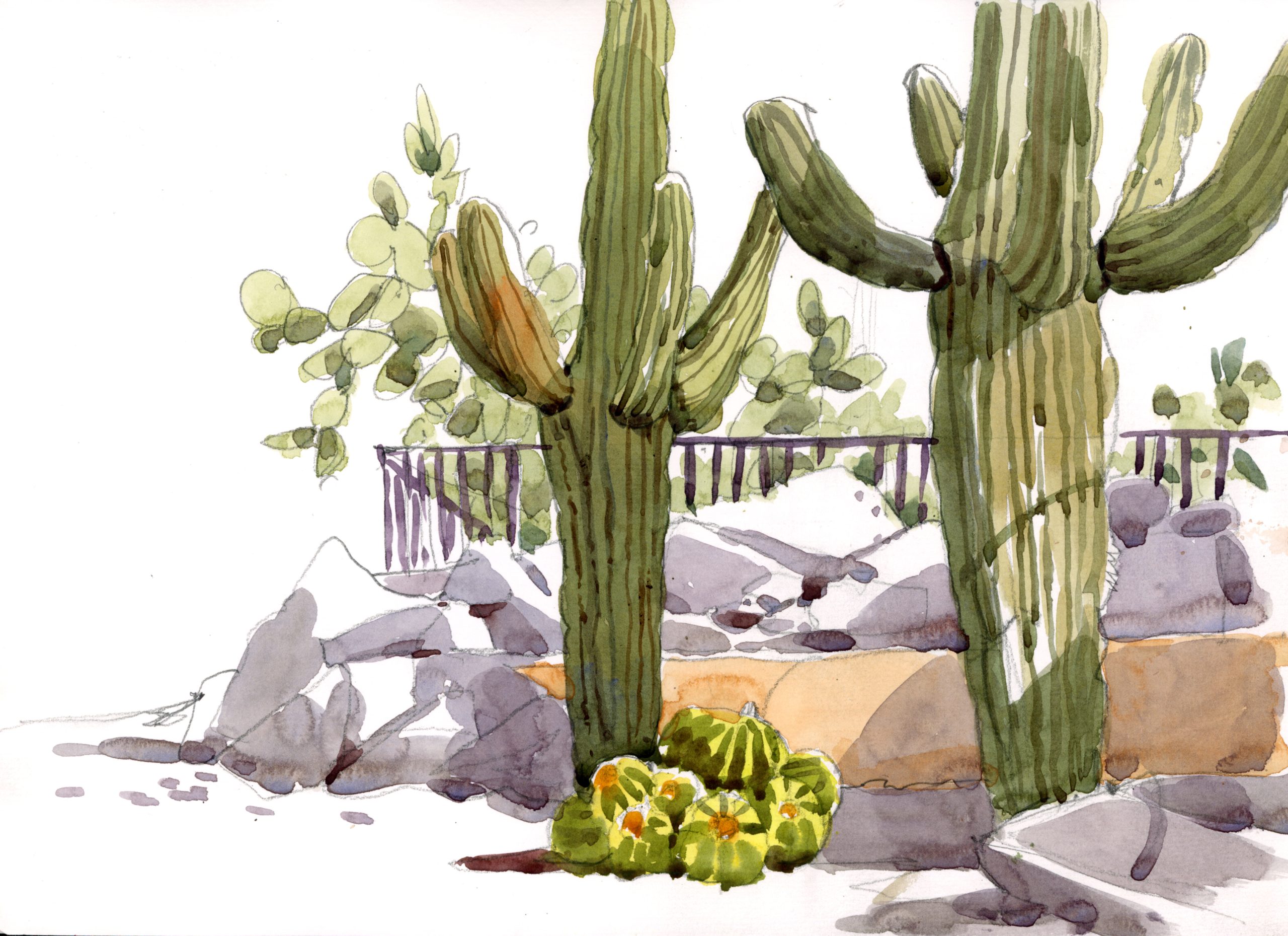 Vibrant Watercolors: Sketching Desert Hues I - Image 13