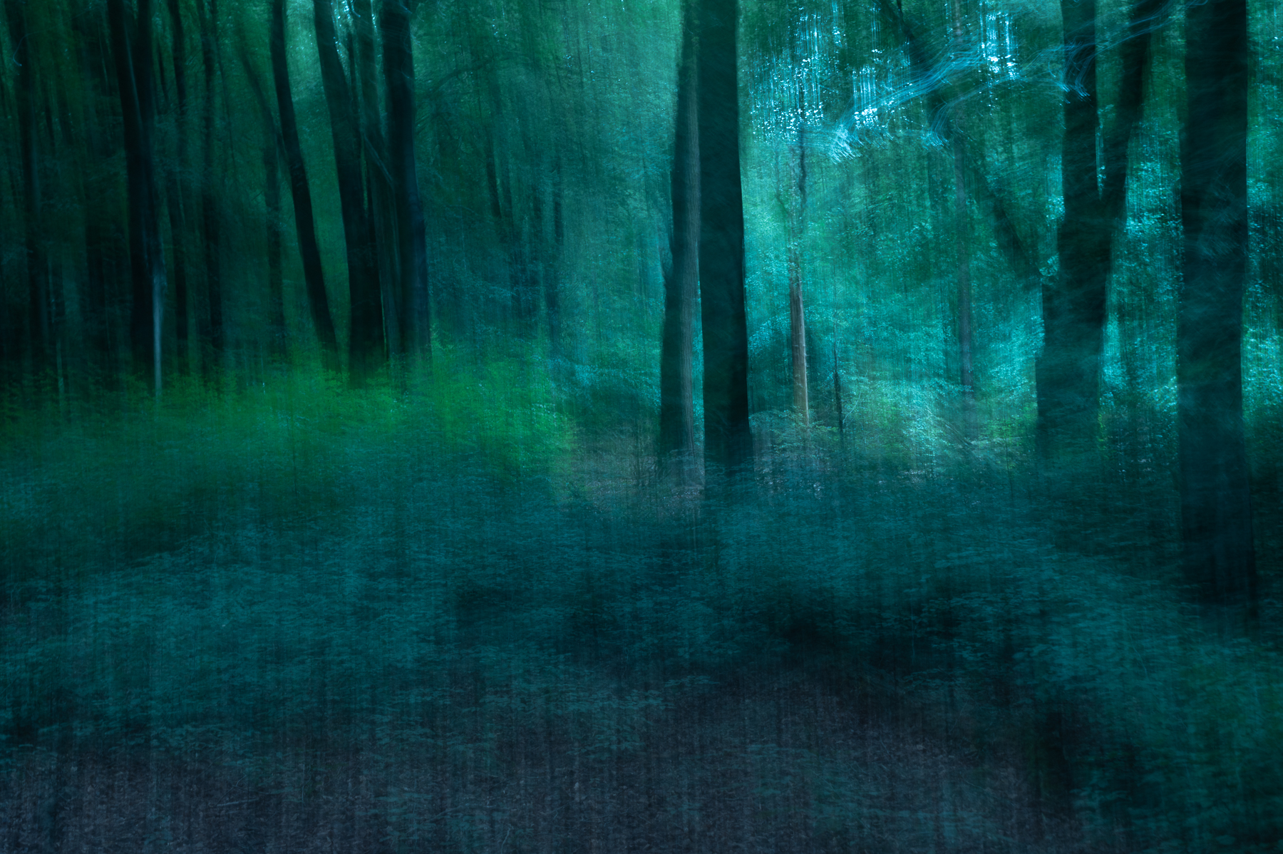 Creative Flower Photography on Madeline Island - Image 18