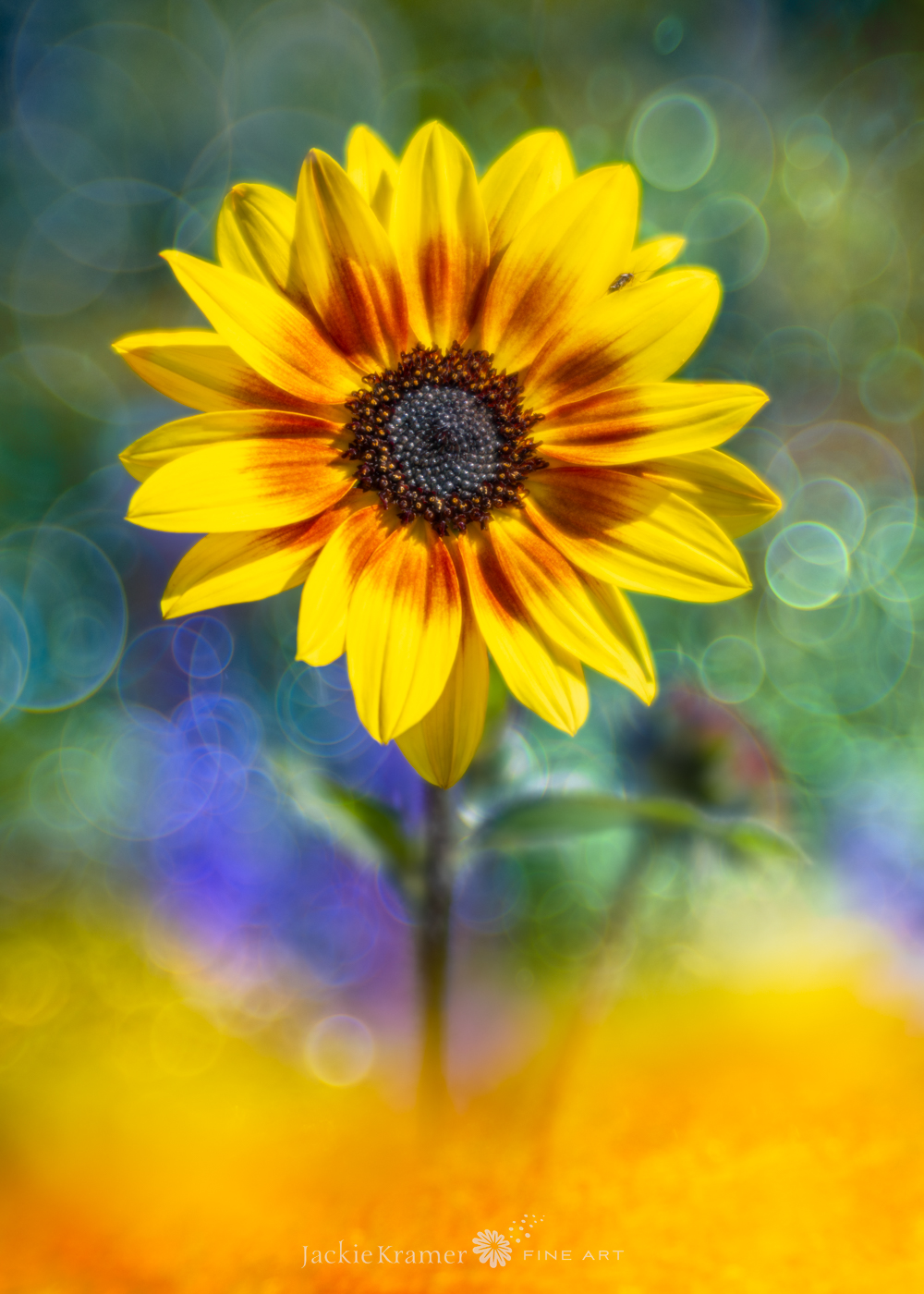 Creative Flower Photography on Madeline Island - Image 28