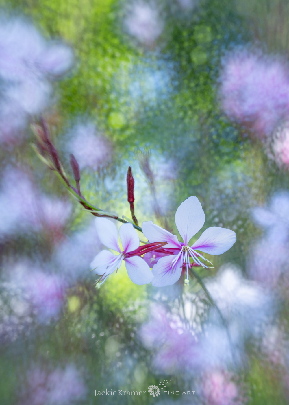Creative Flower Photography on Madeline Island - Image 29