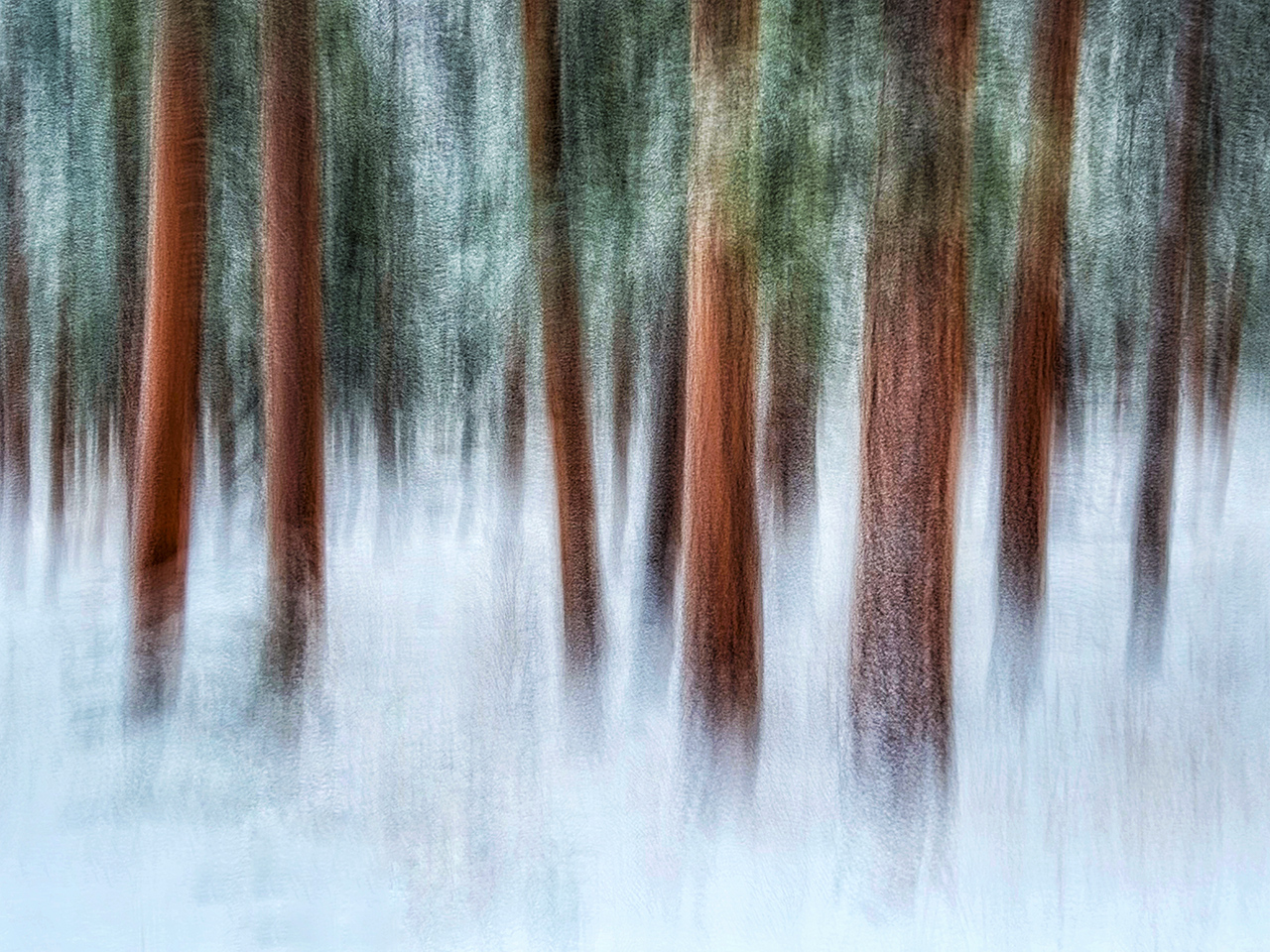 From Snap to WOW! The Ultimate iPhone Photography Workshop on Madeline Island! - Image 3