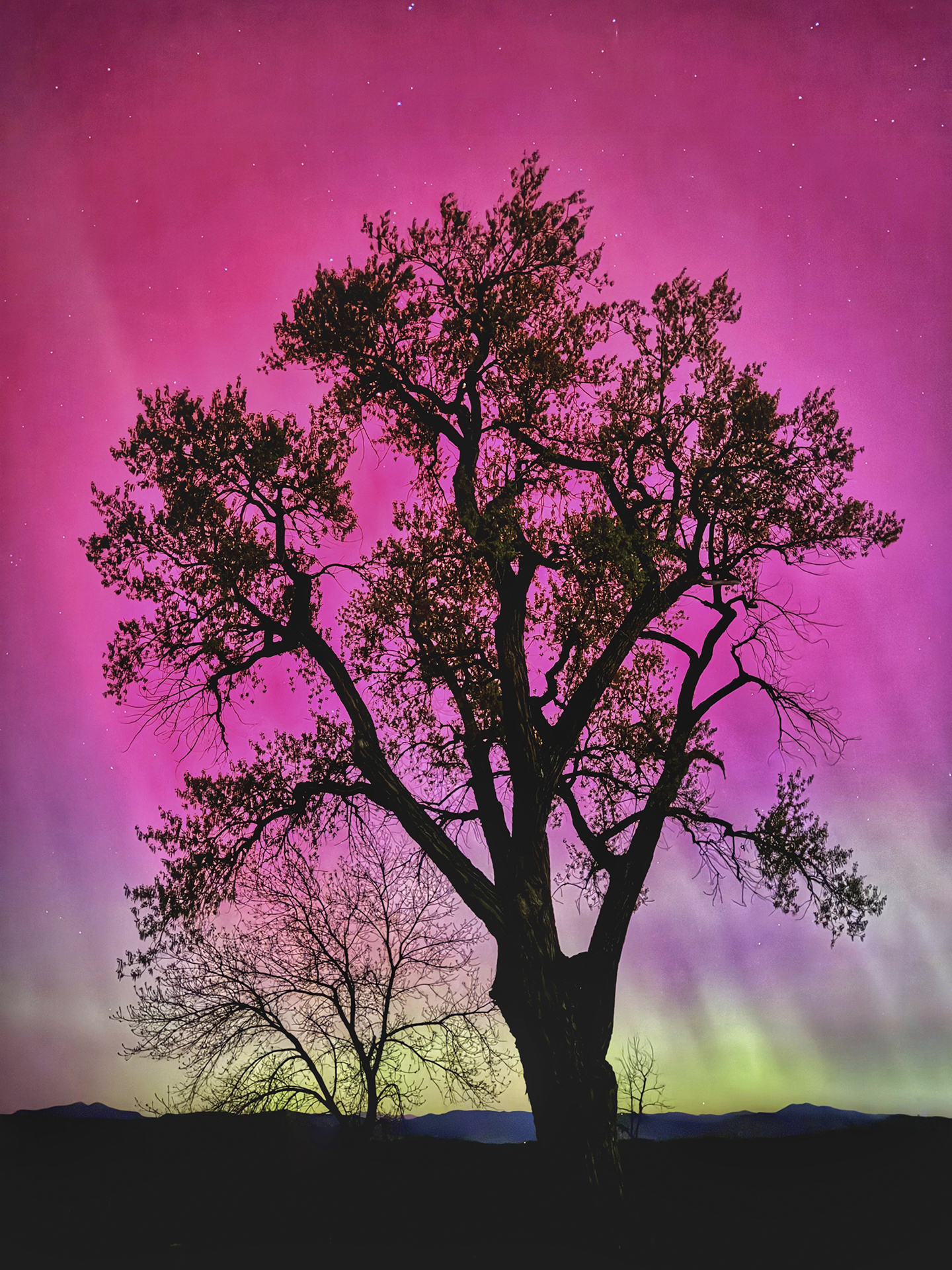 From Snap to WOW! The Ultimate iPhone Photography Workshop on Madeline Island! - Image 7