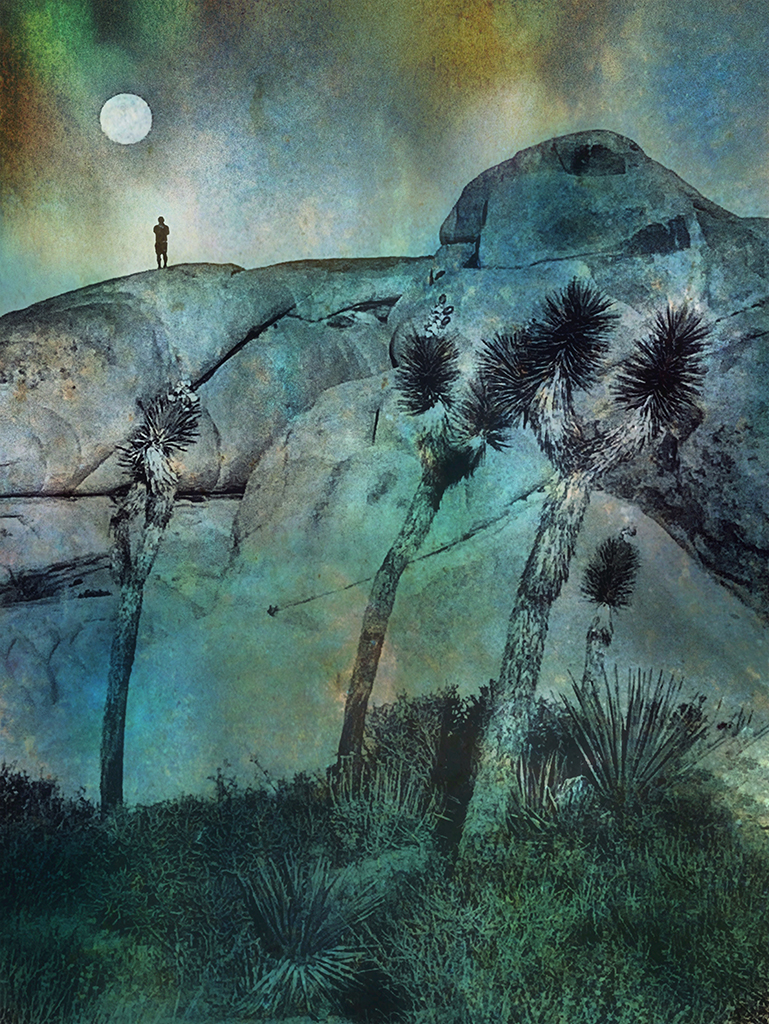 From Snap to WOW! The Ultimate iPhone Photography Workshop on Madeline Island! - Image 8