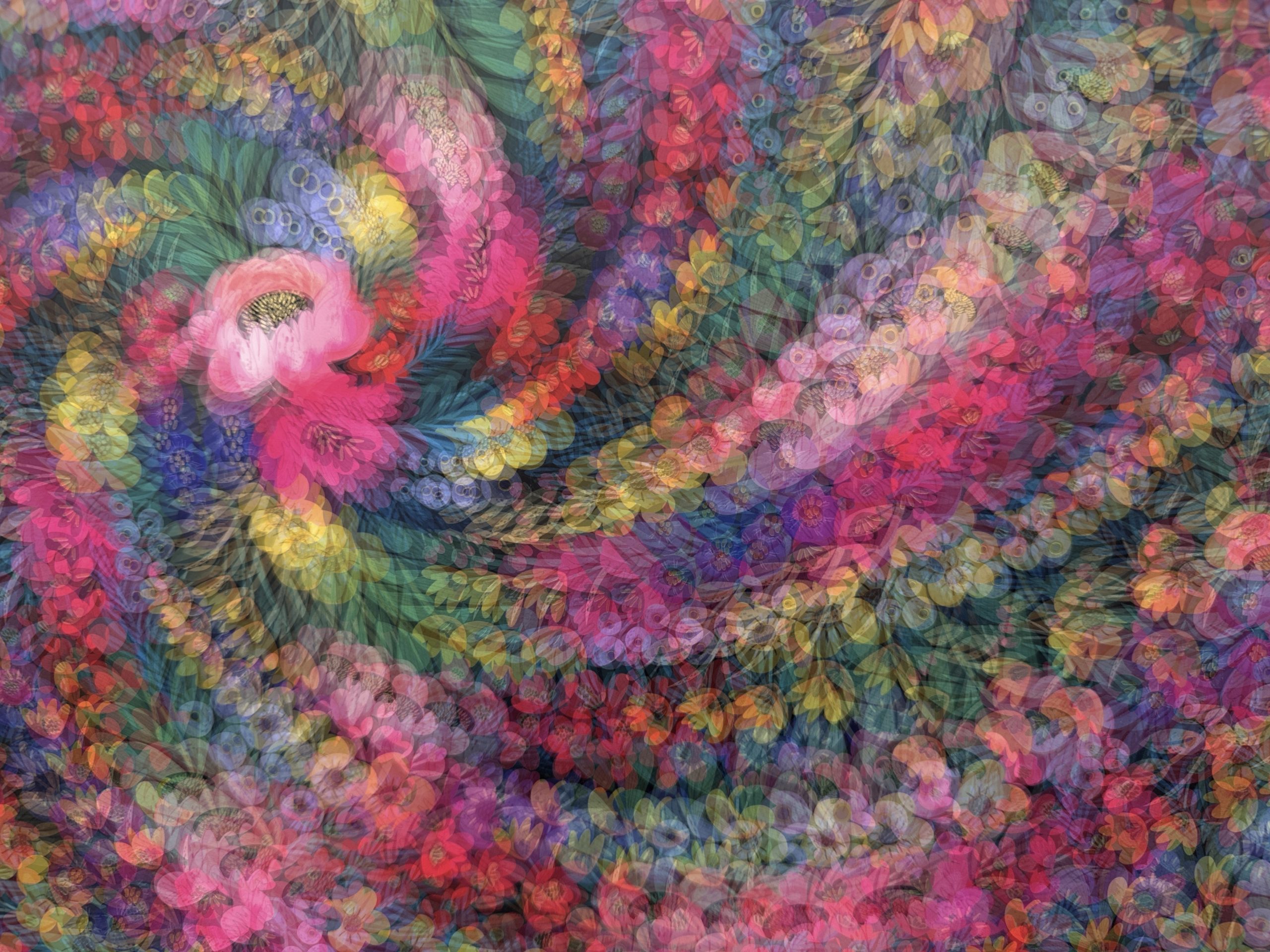 From Snap to WOW! The Ultimate iPhone Photography Workshop on Madeline Island! - Image 12