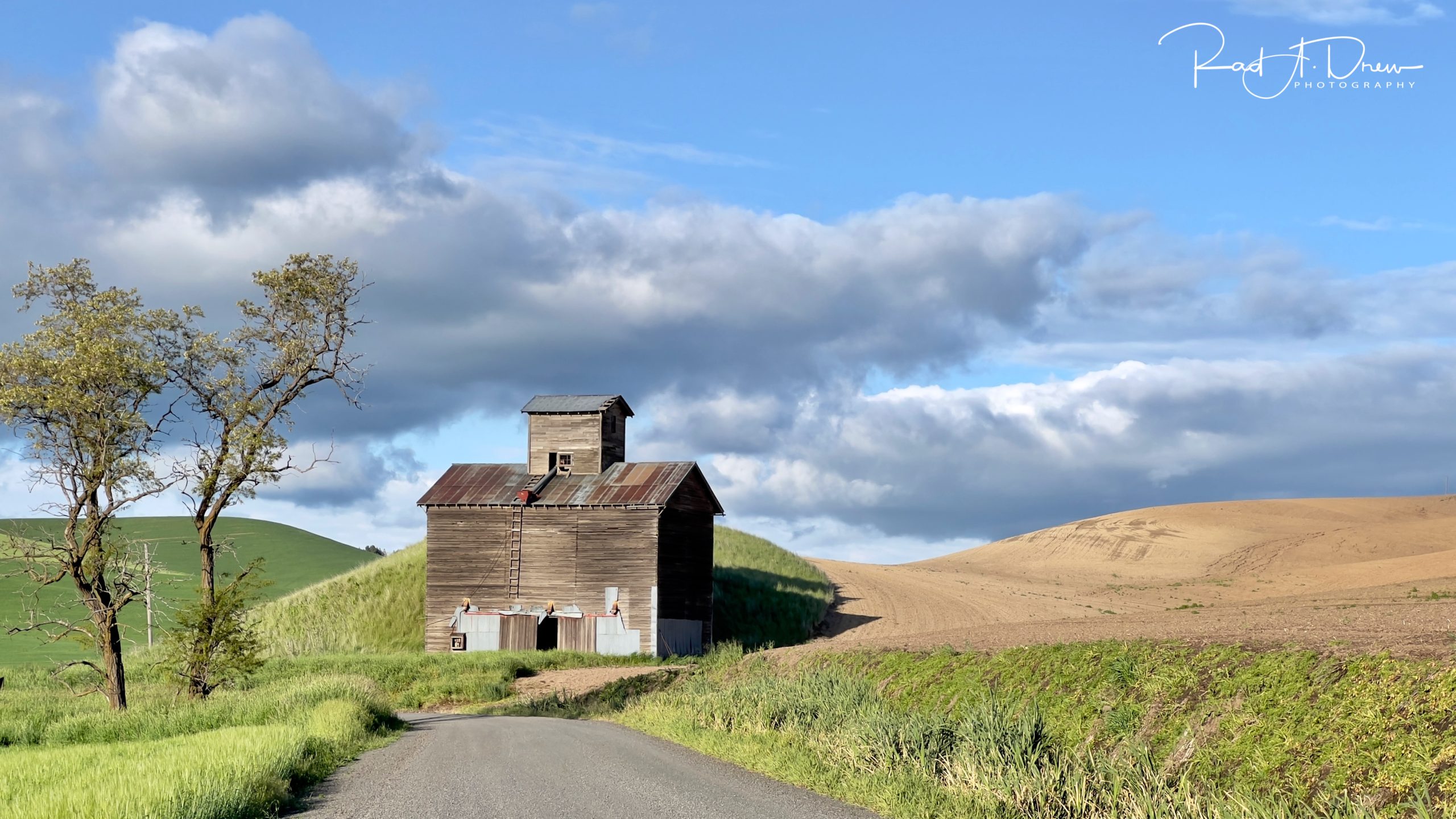 From Snap to WOW! The Ultimate iPhone Photography Workshop on Madeline Island! - Image 28