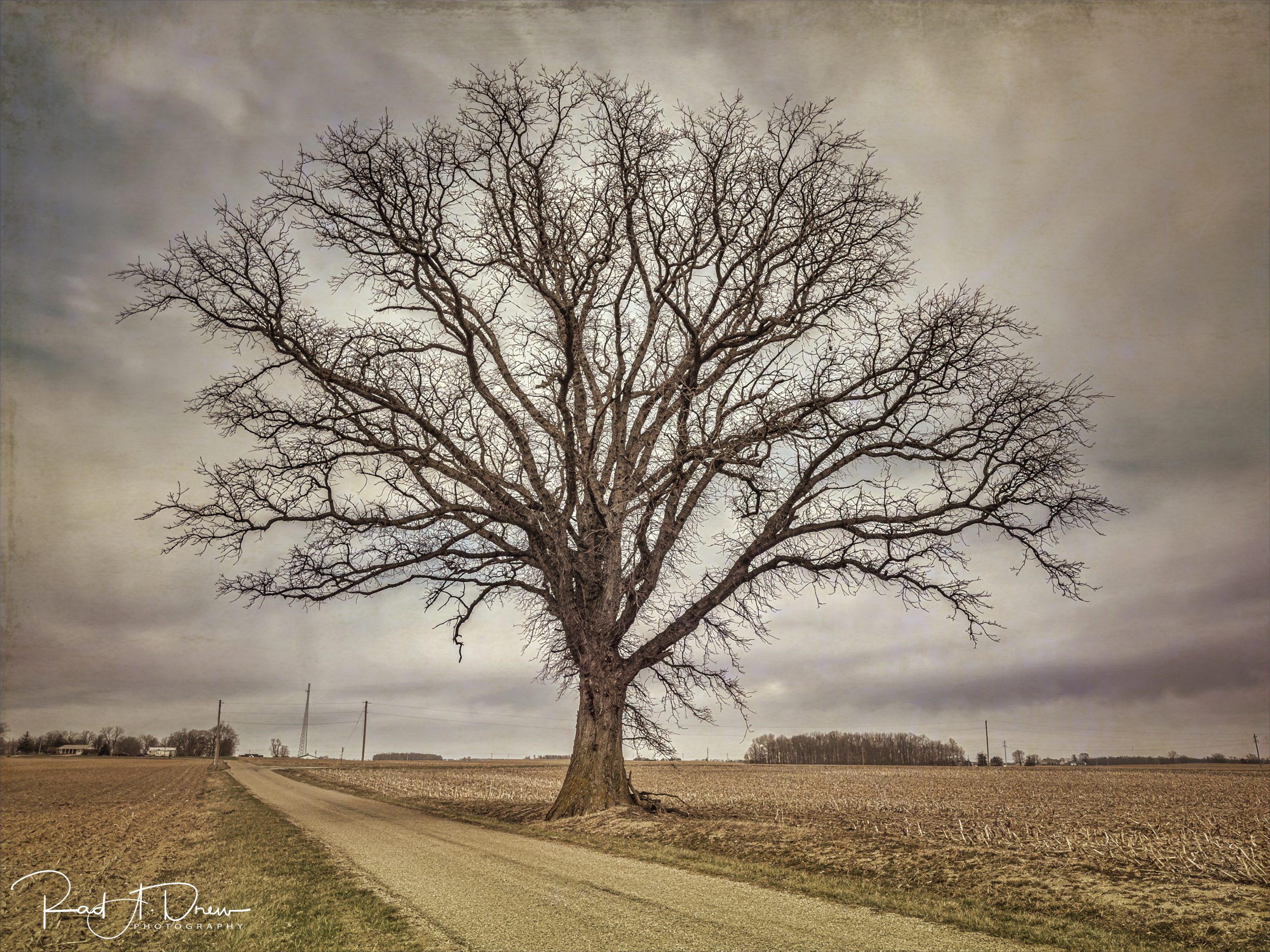 From Snap to WOW! The Ultimate iPhone Photography Workshop on Madeline Island! - Image 35