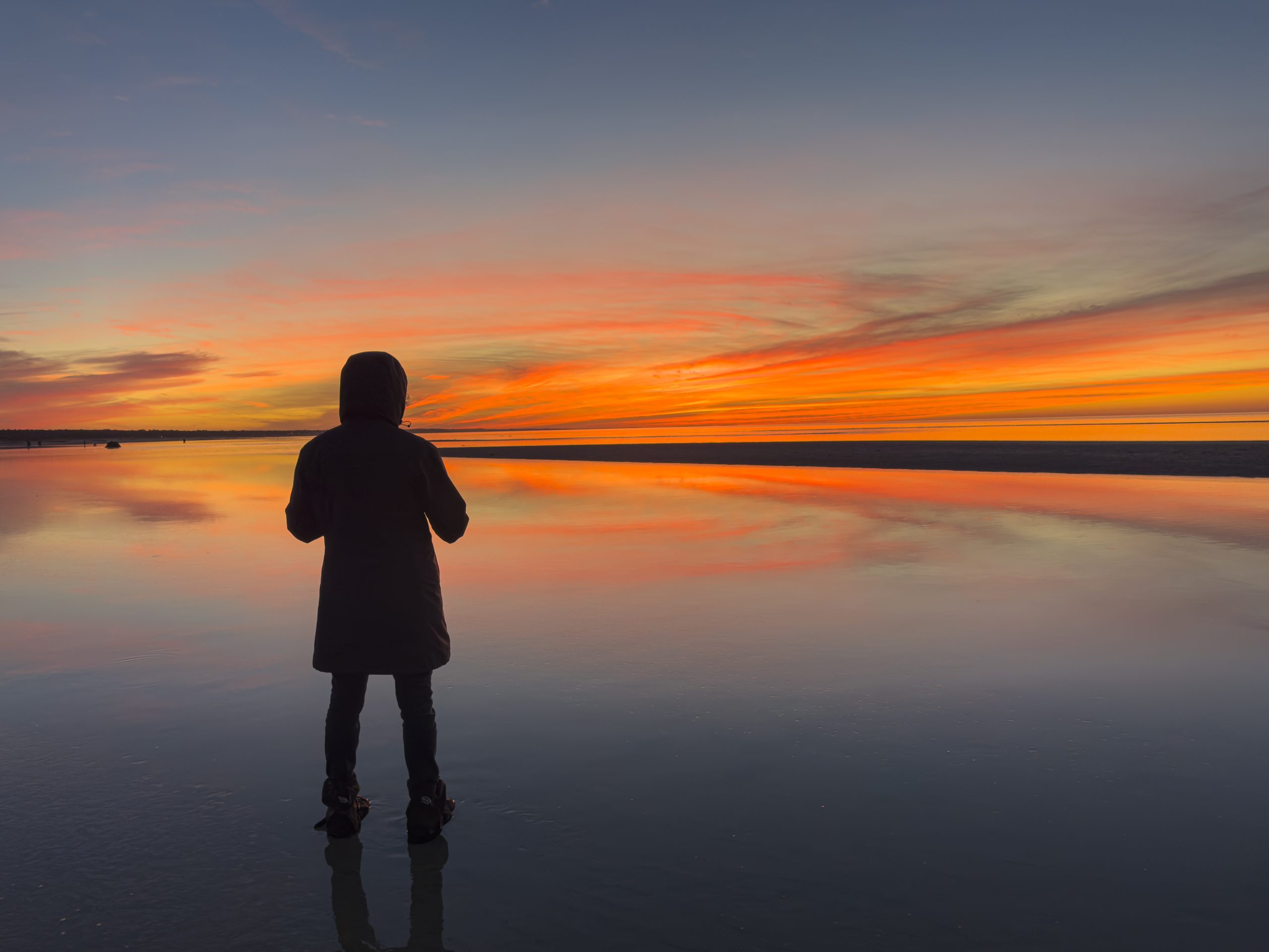 From Snap to WOW! The Ultimate iPhone Photography Workshop on Madeline Island! - Image 37