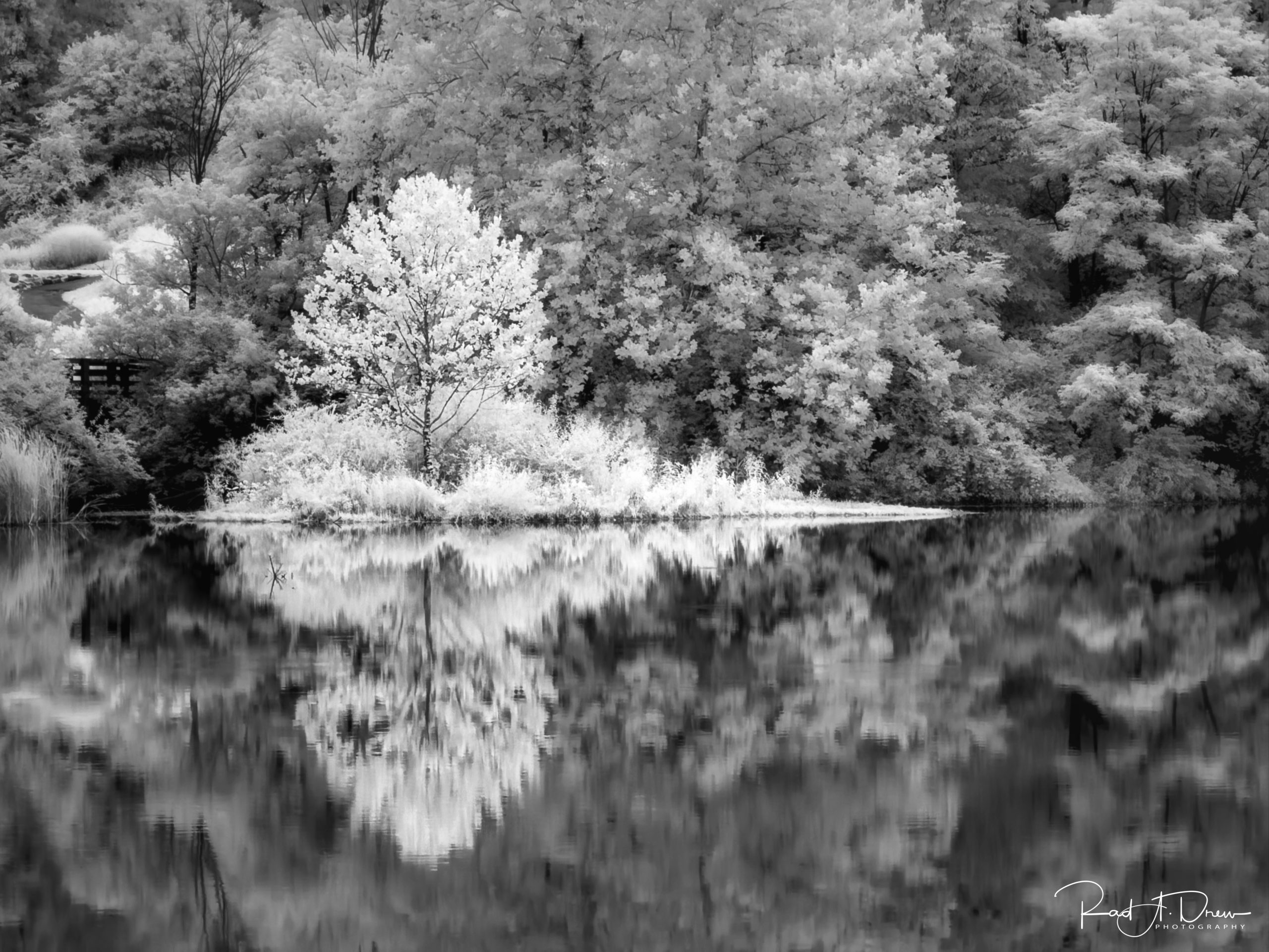 From Snap to WOW! The Ultimate iPhone Photography Workshop on Madeline Island! - Image 38