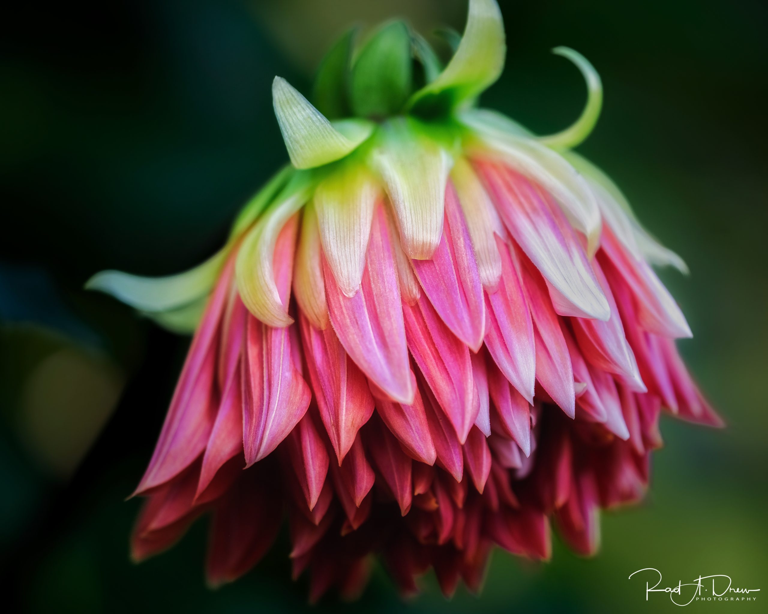 From Snap to WOW! The Ultimate iPhone Photography Workshop on Madeline Island! - Image 39