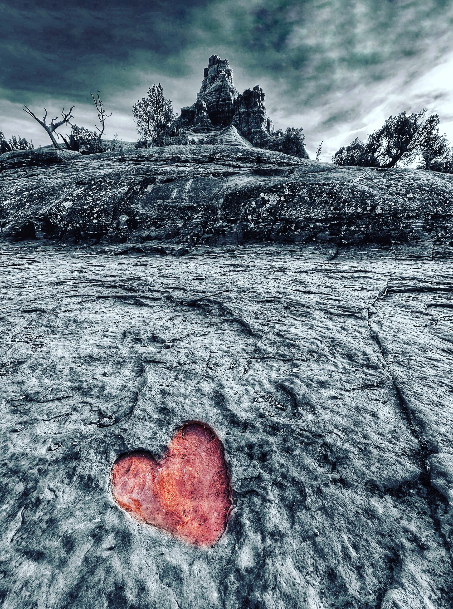 From Snap to WOW! The Ultimate iPhone Photography Workshop on Madeline Island! - Image 15