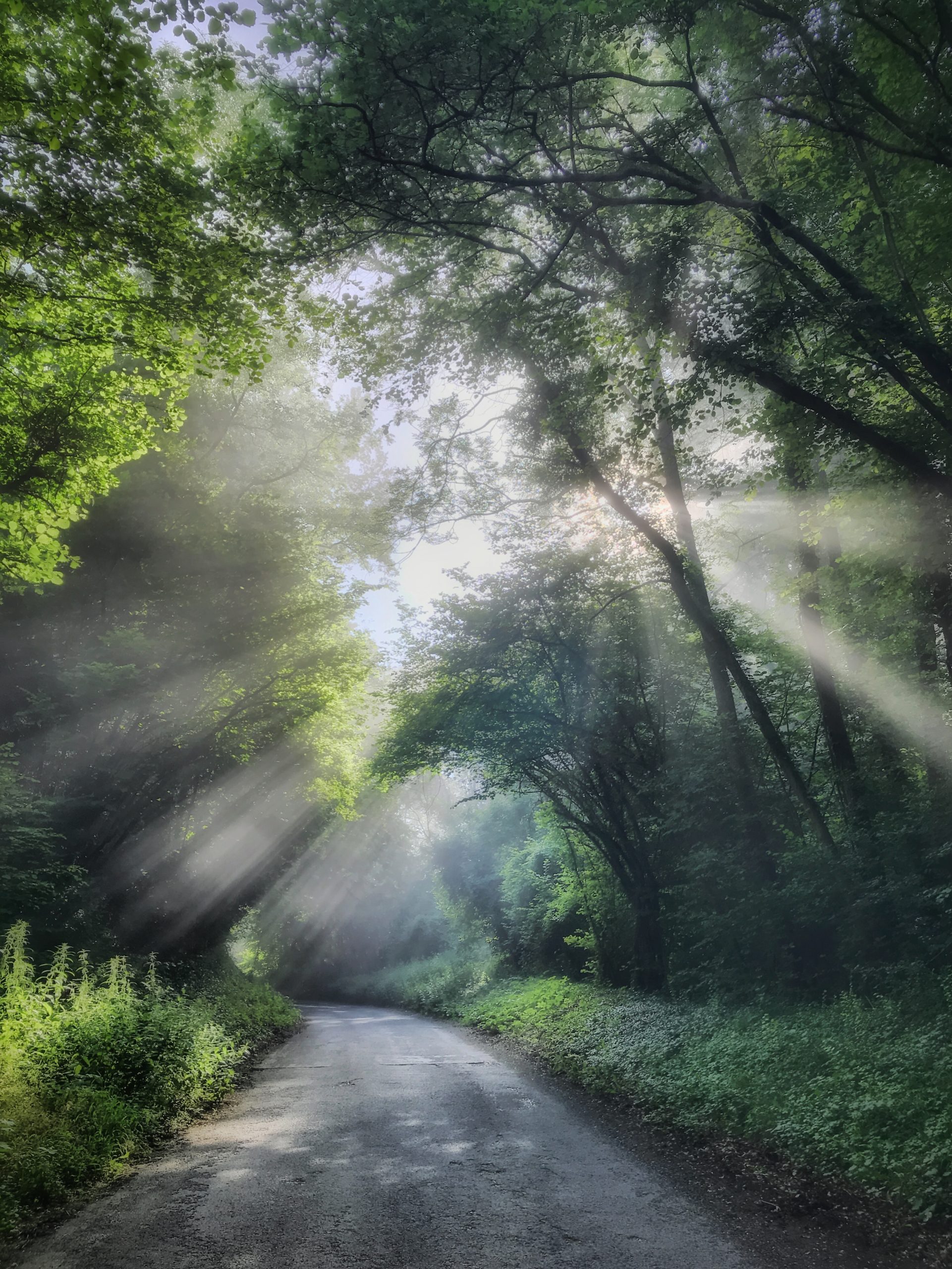 From Snap to WOW! The Ultimate iPhone Photography Workshop on Madeline Island! - Image 16