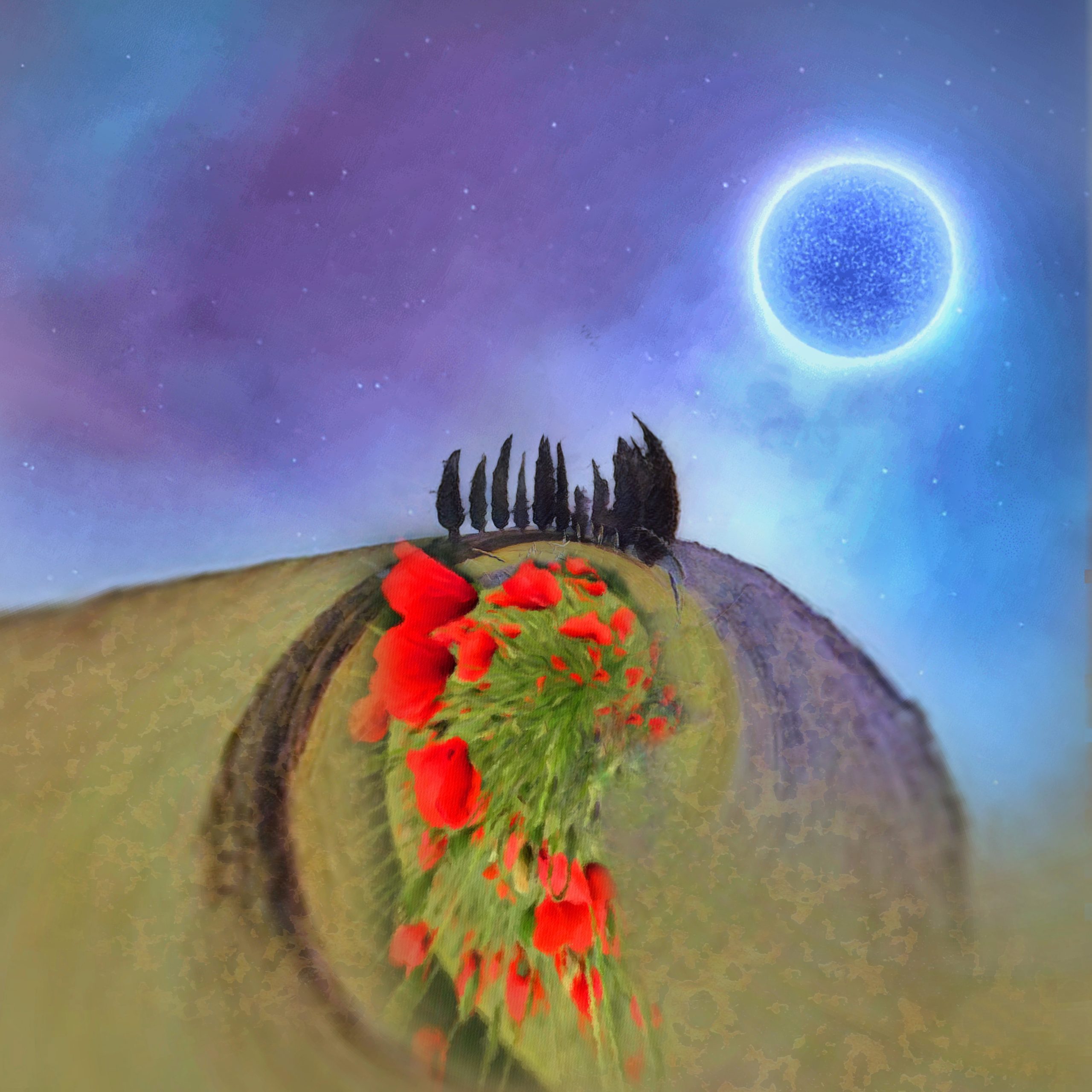 From Snap to WOW! The Ultimate iPhone Photography Workshop on Madeline Island! - Image 21