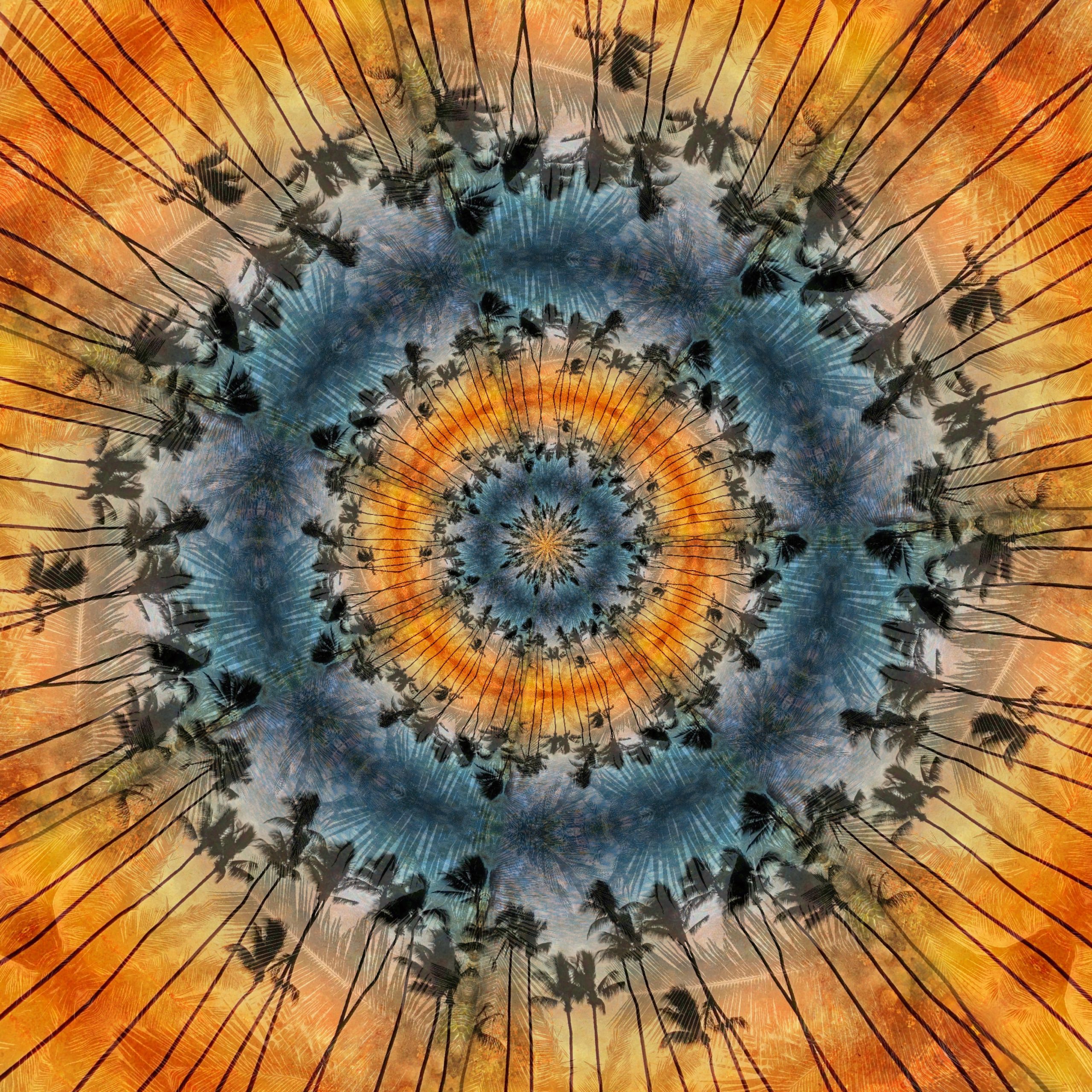 From Snap to WOW! The Ultimate iPhone Photography Workshop on Madeline Island! - Image 22