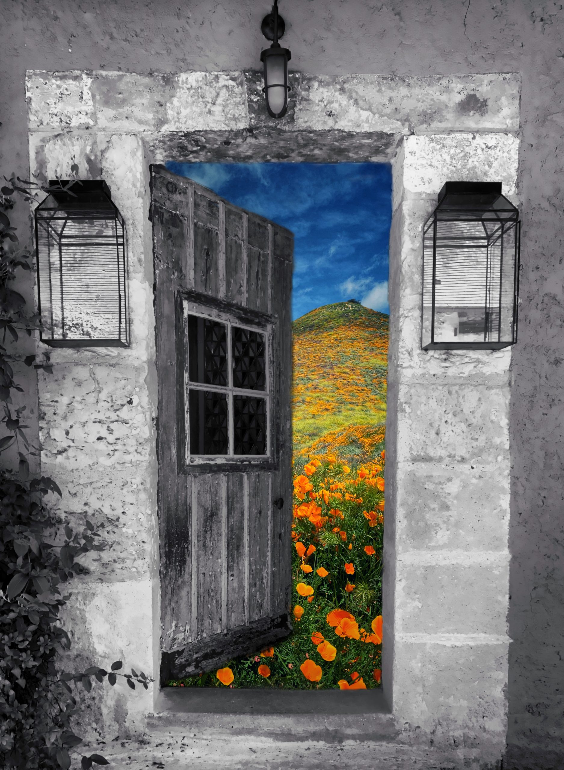 From Snap to WOW! The Ultimate iPhone Photography Workshop on Madeline Island! - Image 25