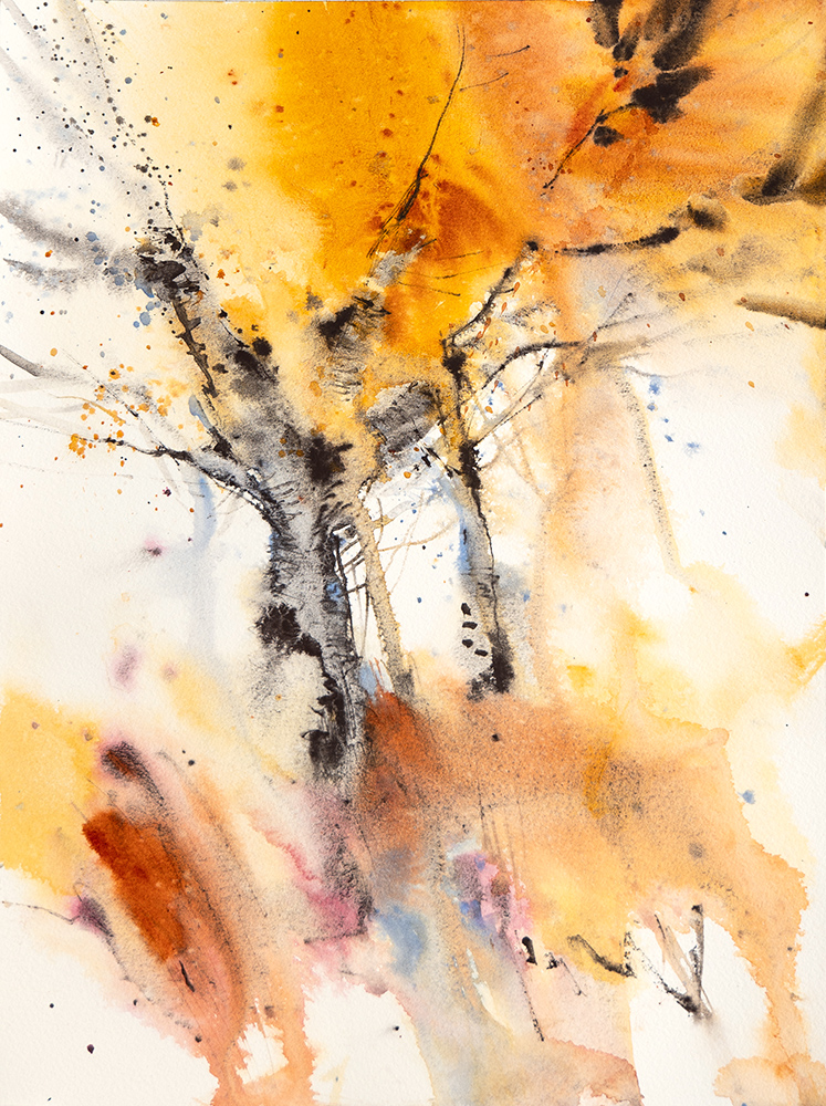 Finding Light: A Pacific Coast Watercolor Retreat for the Creative Spirit - 2026 - Image 4