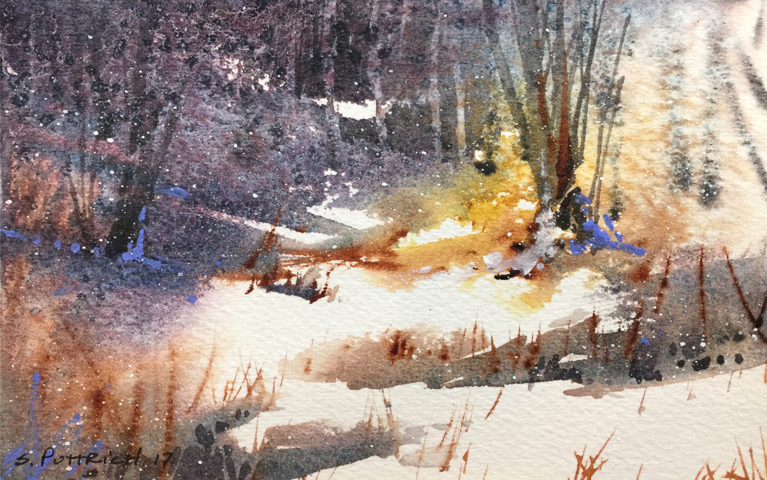 Finding Light: A Pacific Coast Watercolor Retreat for the Creative Spirit - 2026 - Image 8