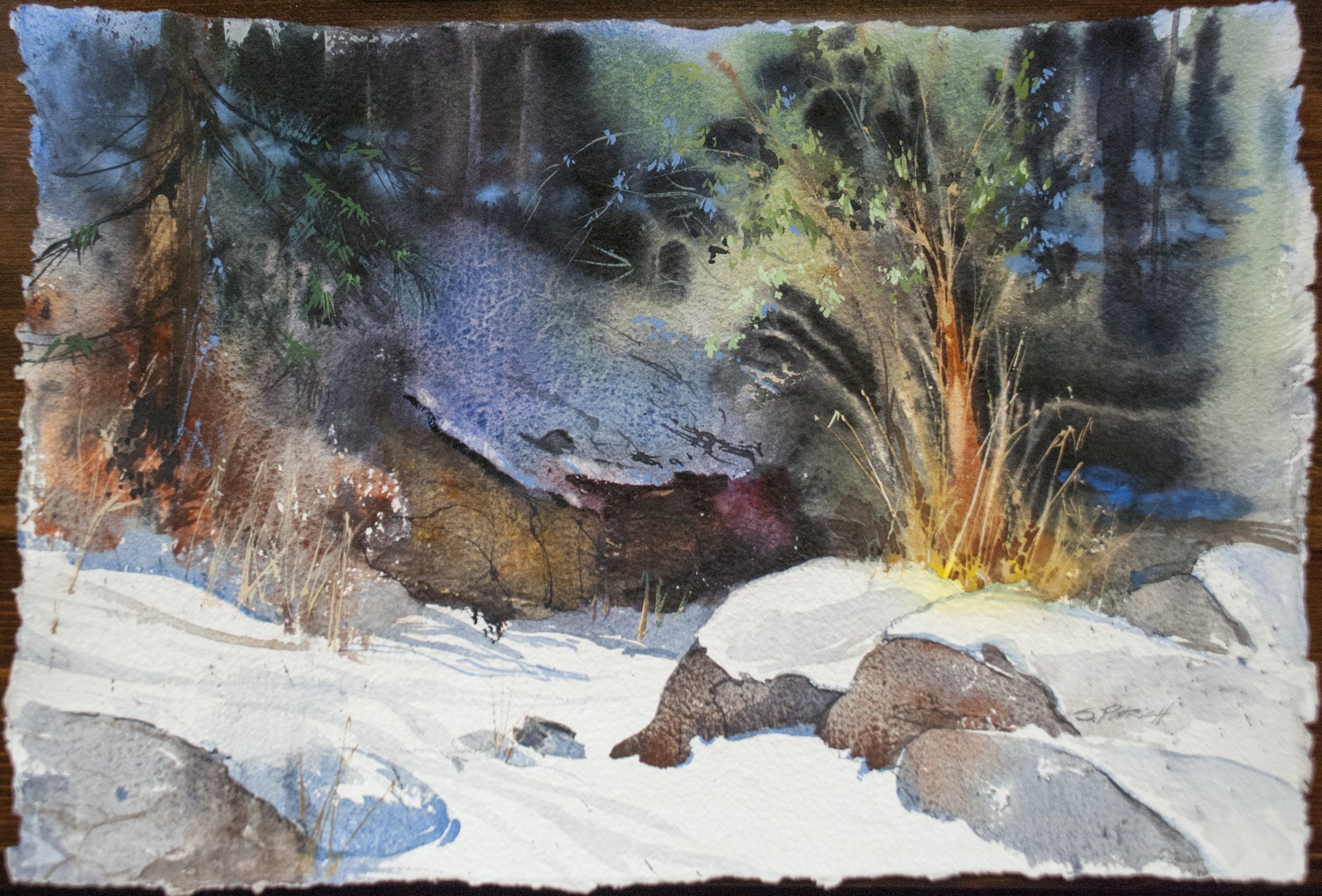 Finding Light: A Pacific Coast Watercolor Retreat for the Creative Spirit - 2026 - Image 9