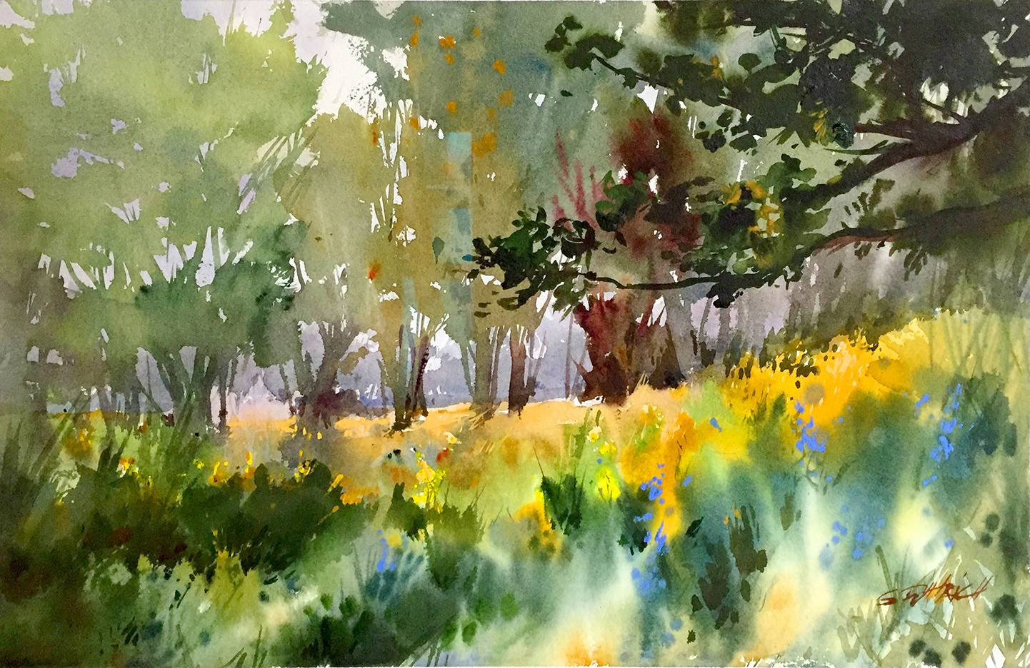 Finding Light: A Pacific Coast Watercolor Retreat for the Creative Spirit - 2026 - Image 12