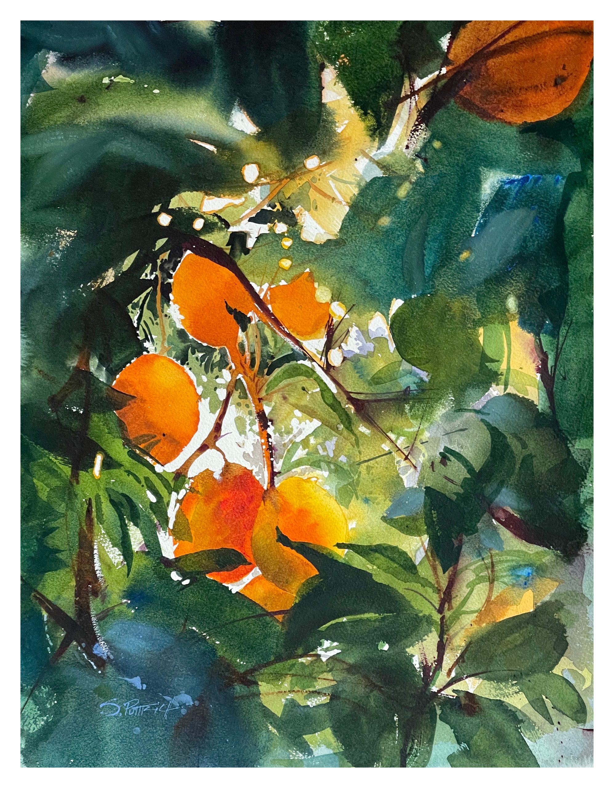 Finding Light: A Pacific Coast Watercolor Retreat for the Creative Spirit - 2026 - Image 13