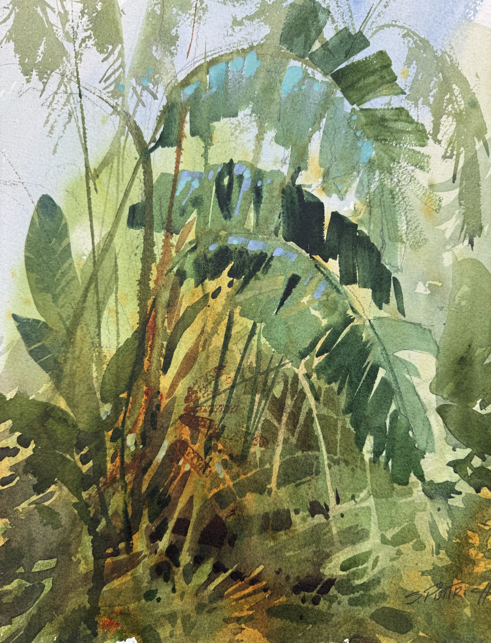 Finding Light: A Pacific Coast Watercolor Retreat for the Creative Spirit - 2026 - Image 16
