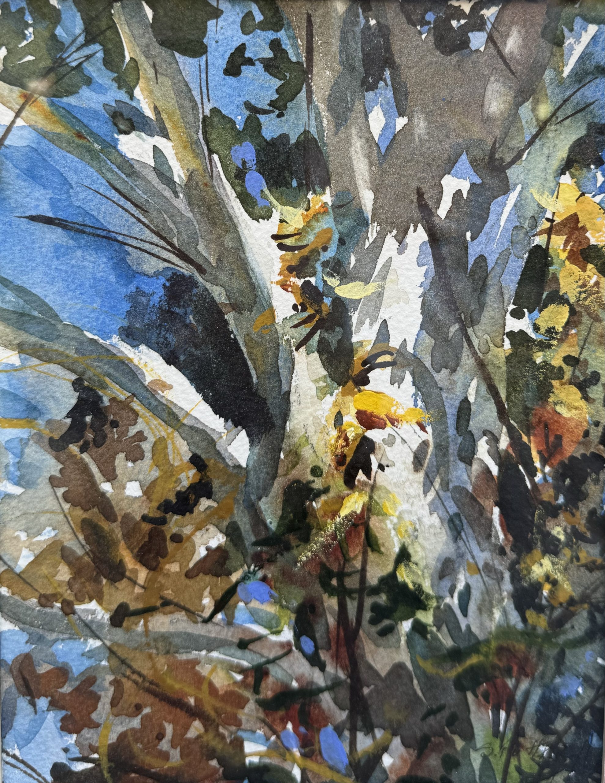 Finding Light: A Pacific Coast Watercolor Retreat for the Creative Spirit - 2026 - Image 17