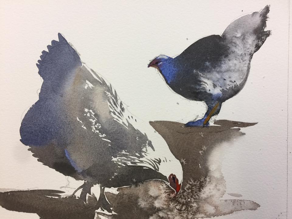 Finding Light: A Pacific Coast Watercolor Retreat for the Creative Spirit - 2026 - Image 19