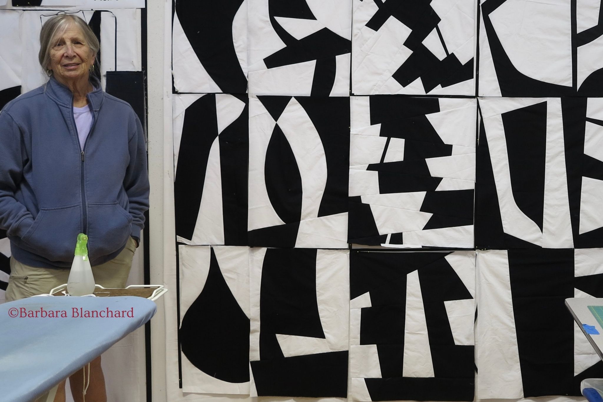 Lines, Curves, Shapes and Figure/Ground Composition a 10 day workshop in Santa Fe - Image 6