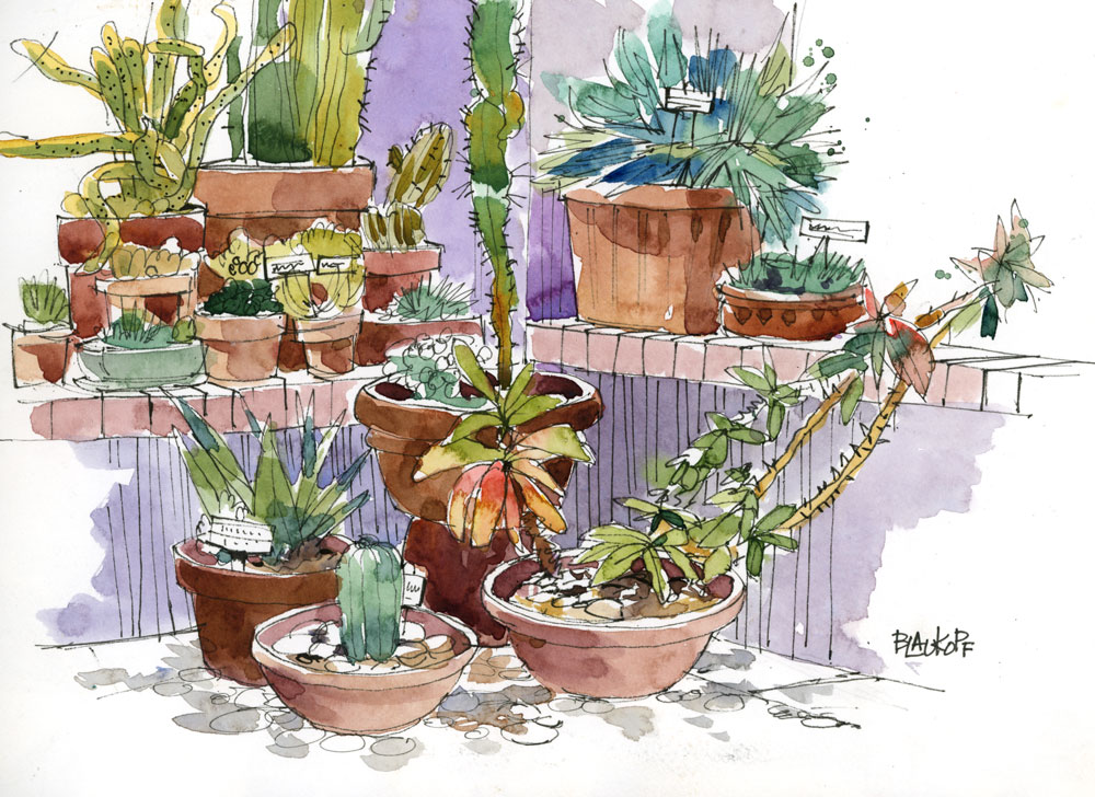 Vibrant Watercolors: Sketching Desert Hues I - Image 4