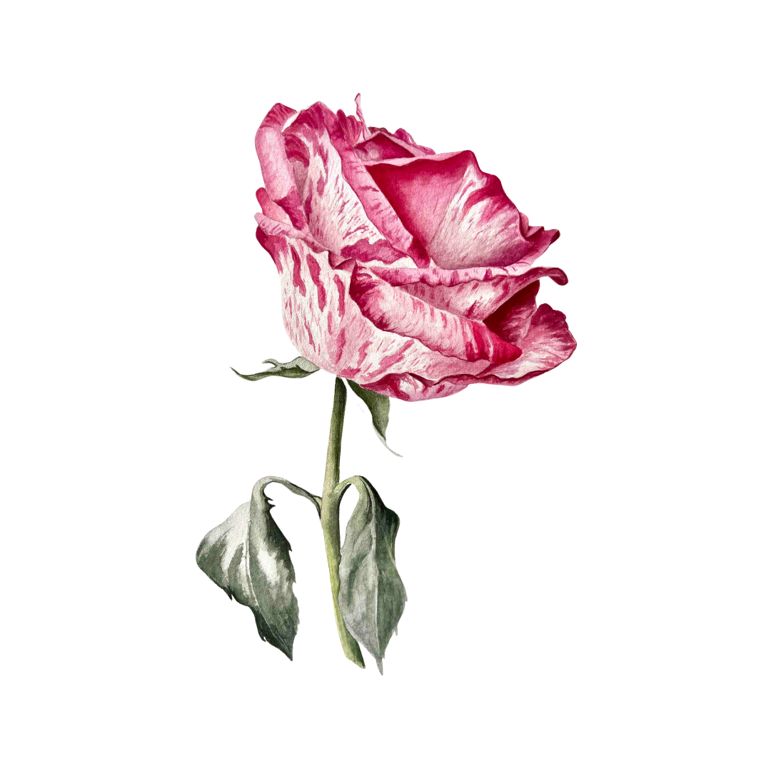 Where Watercolor Meets Nature: A Botanical Art Experience - Image 3