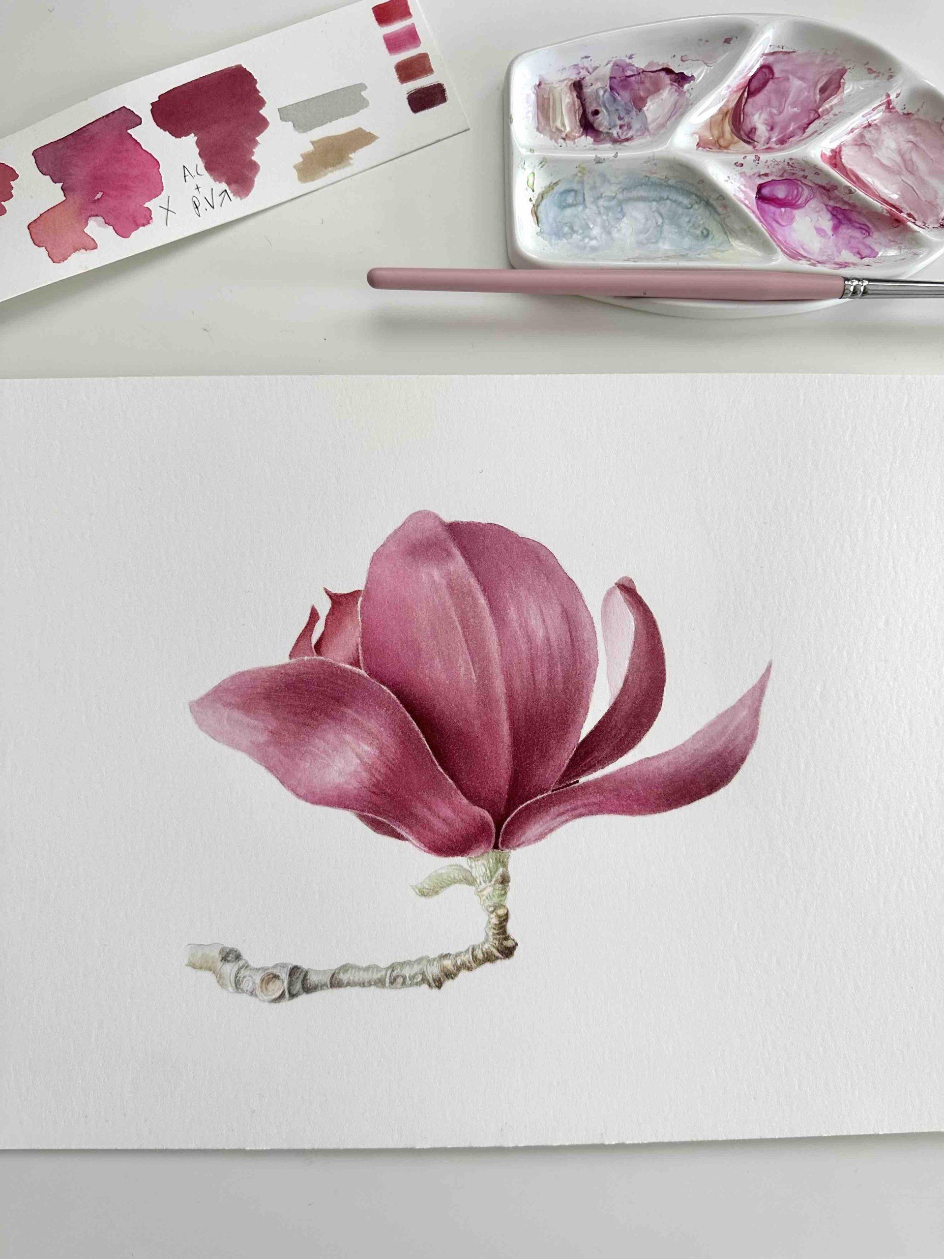 Where Watercolor Meets Nature: A Botanical Art Experience - Image 7