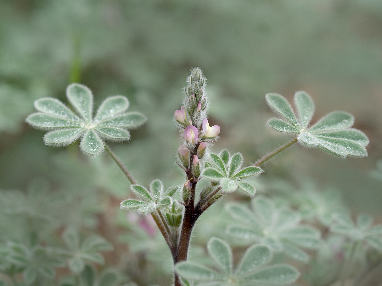 Reflections Within: Exploring Your Story through Creative Landscape Photography - Image 2