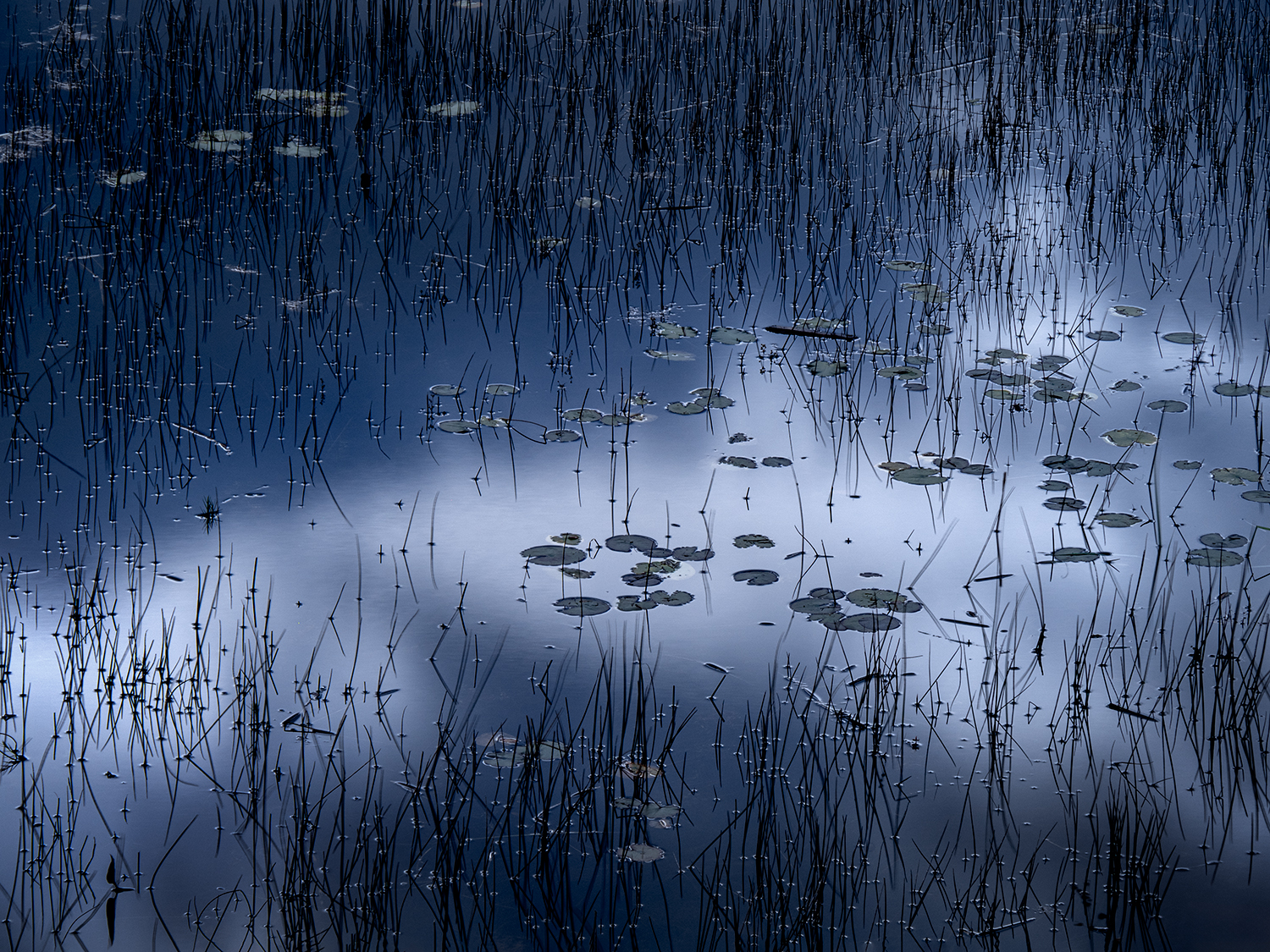 Reflections Within: Exploring Your Story through Creative Landscape Photography - Image 8