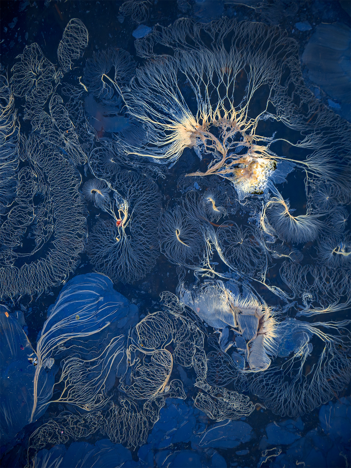 Reflections Within: Exploring Your Story through Creative Landscape Photography - Image 10