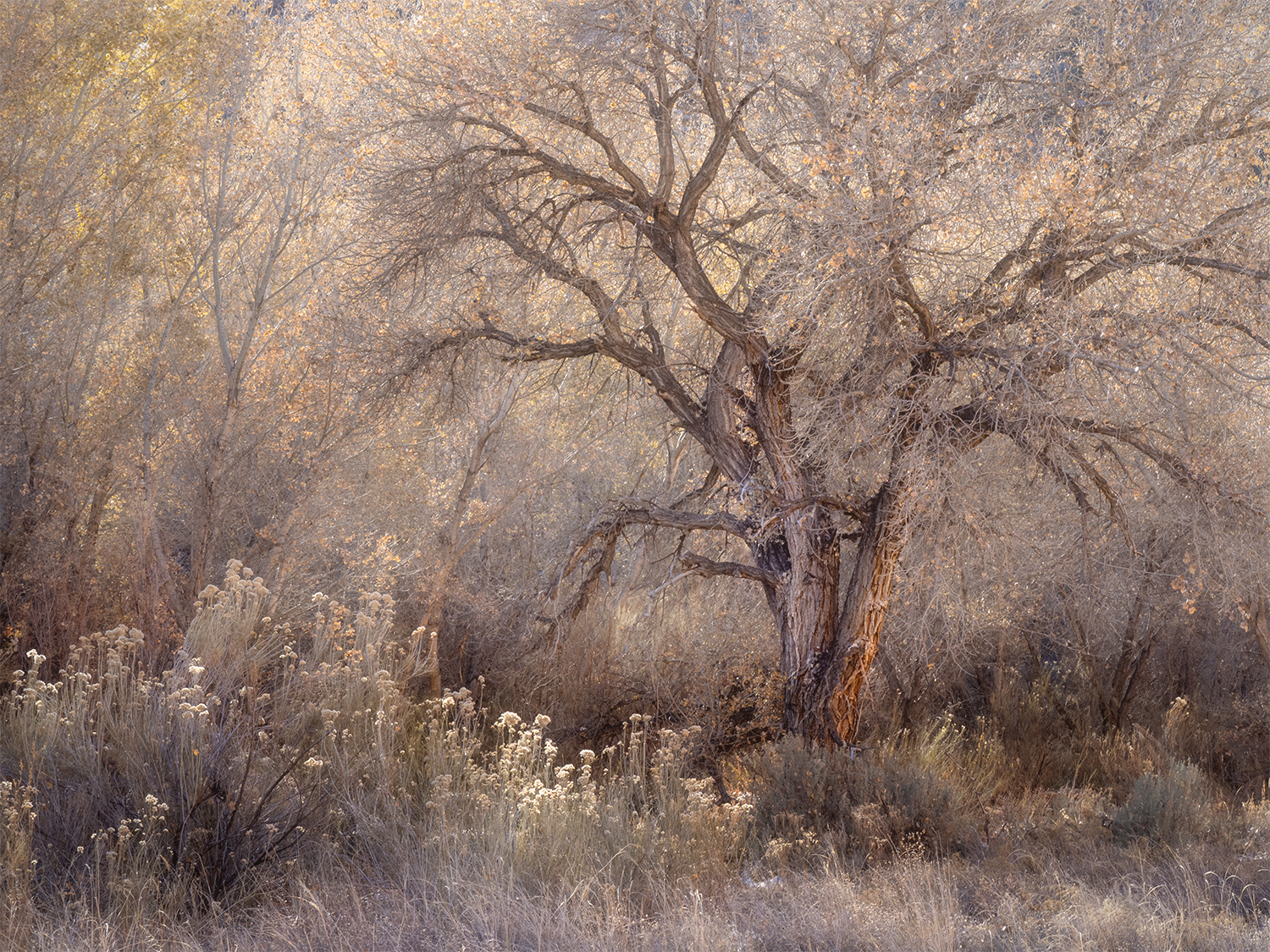 Reflections Within: Exploring Your Story through Creative Landscape Photography - Image 9