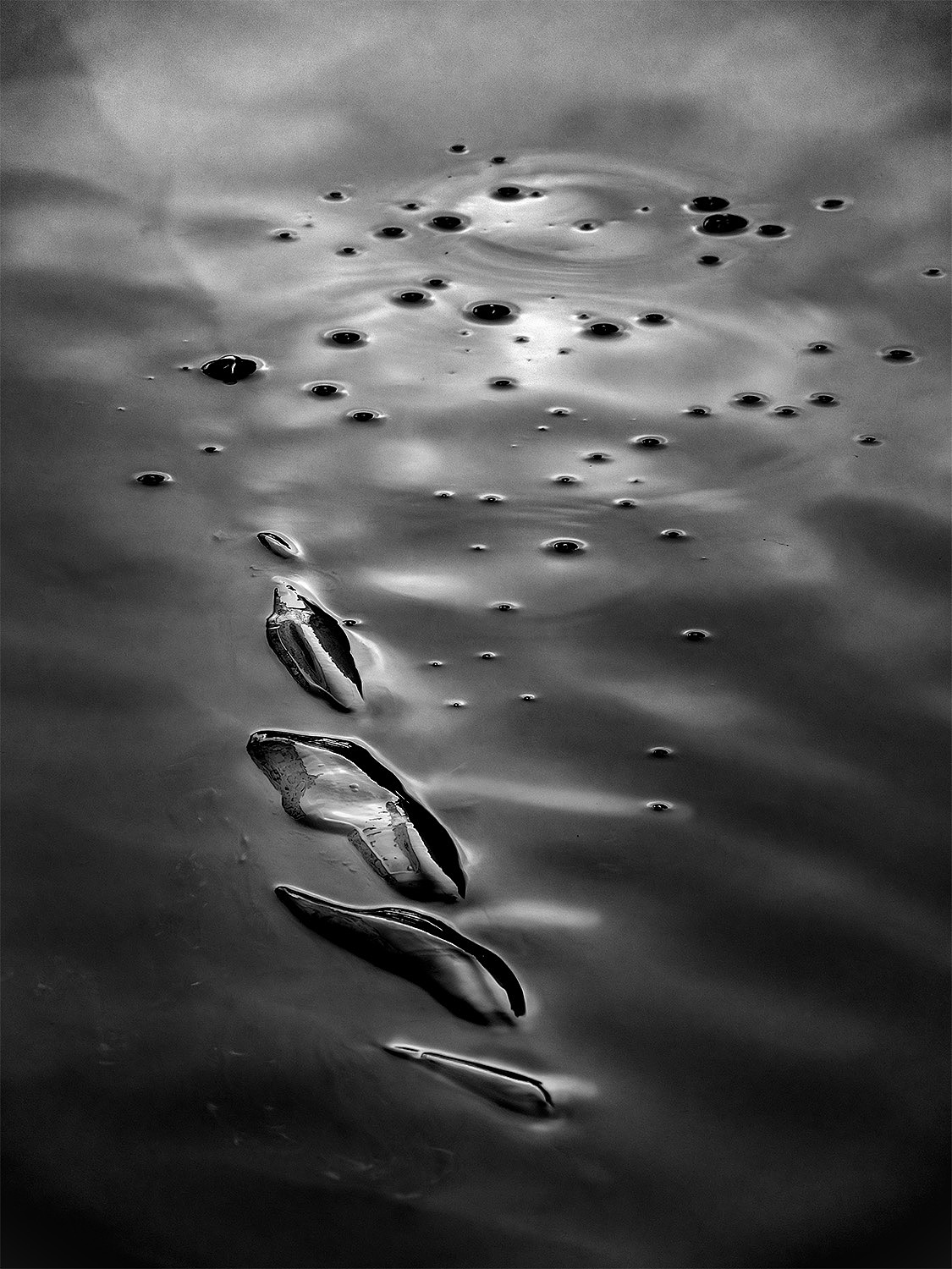 Reflections Within: Exploring Your Story through Creative Landscape Photography - Image 6