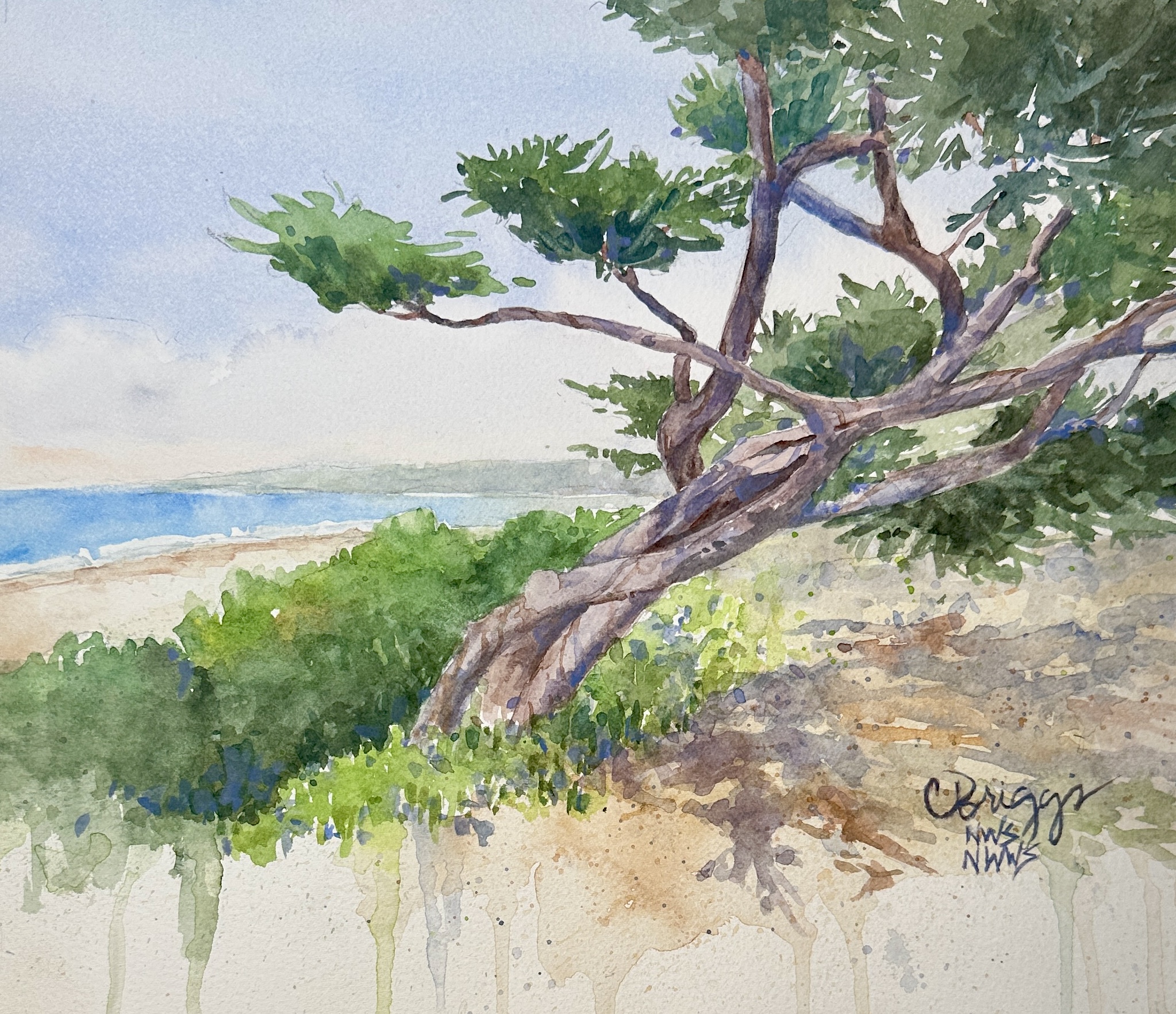 Vibrant Watercolor Painting & Journaling - Image 13