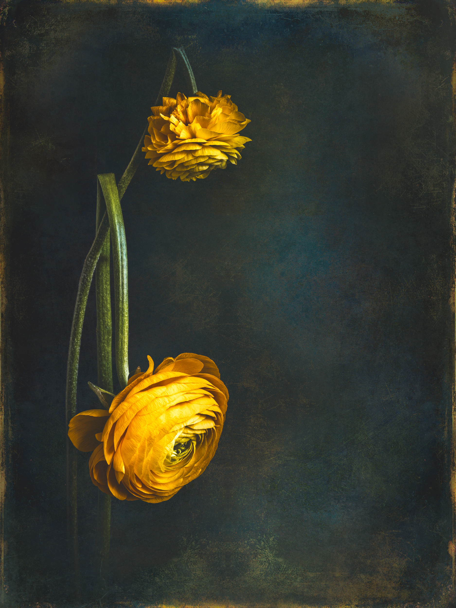 Expanding your photographic voice: A multi-genre photographic adventure in Santa Fe - Image 4