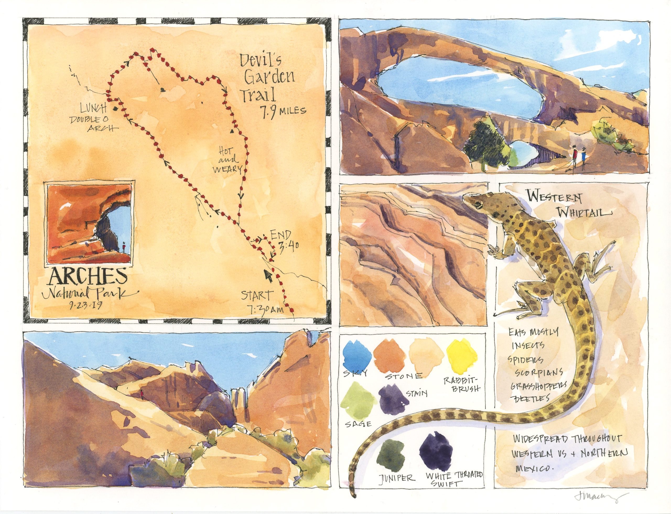 Drawn to Nature - Image 8