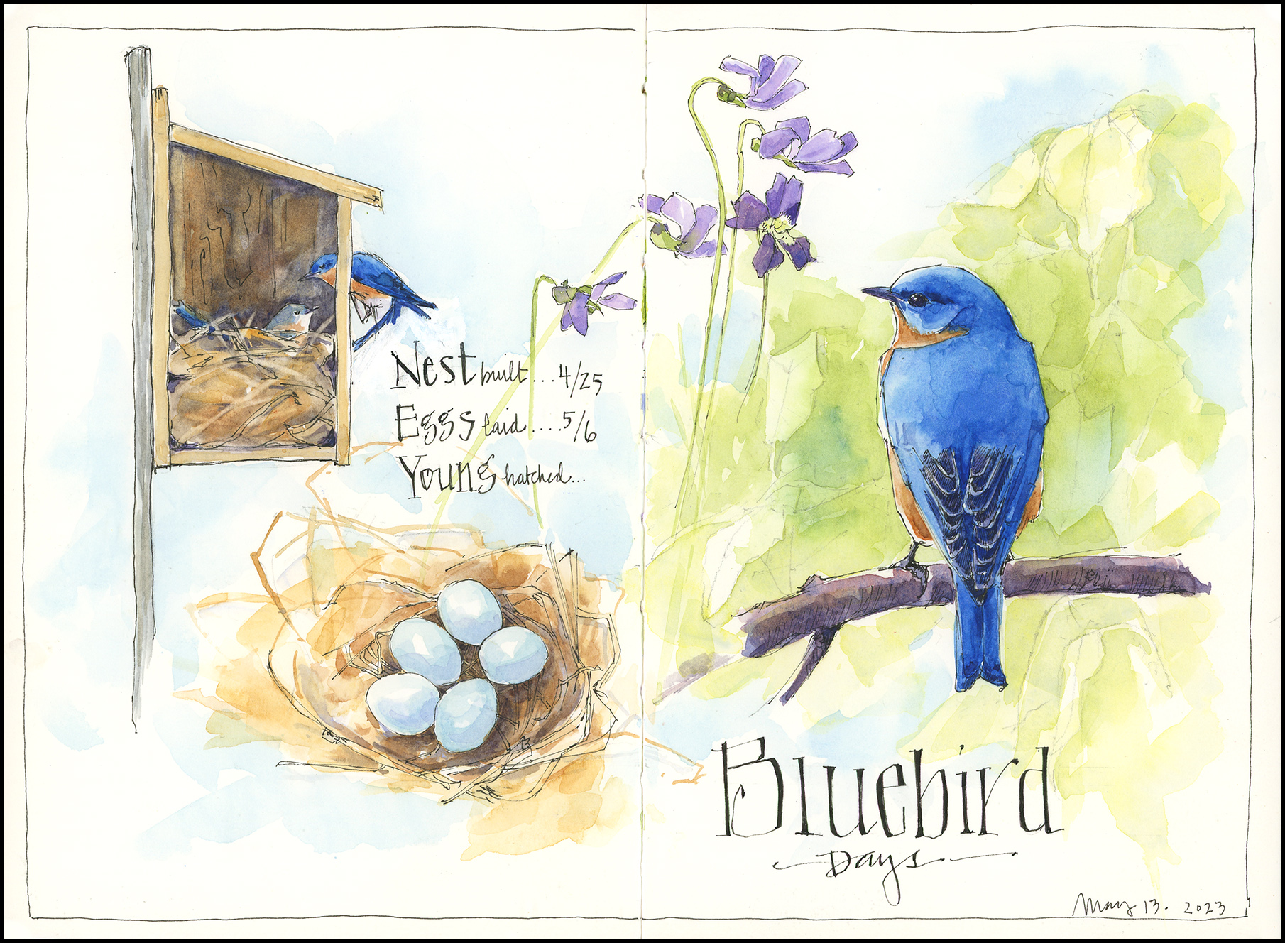 Drawn to Nature - Image 7