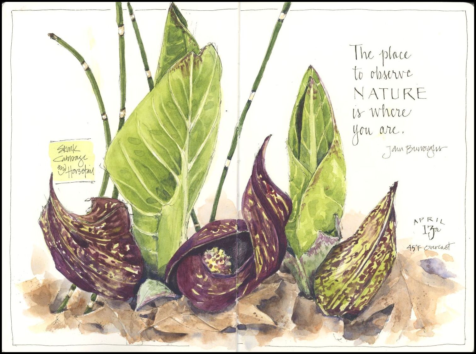 Drawn to Nature - Image 4