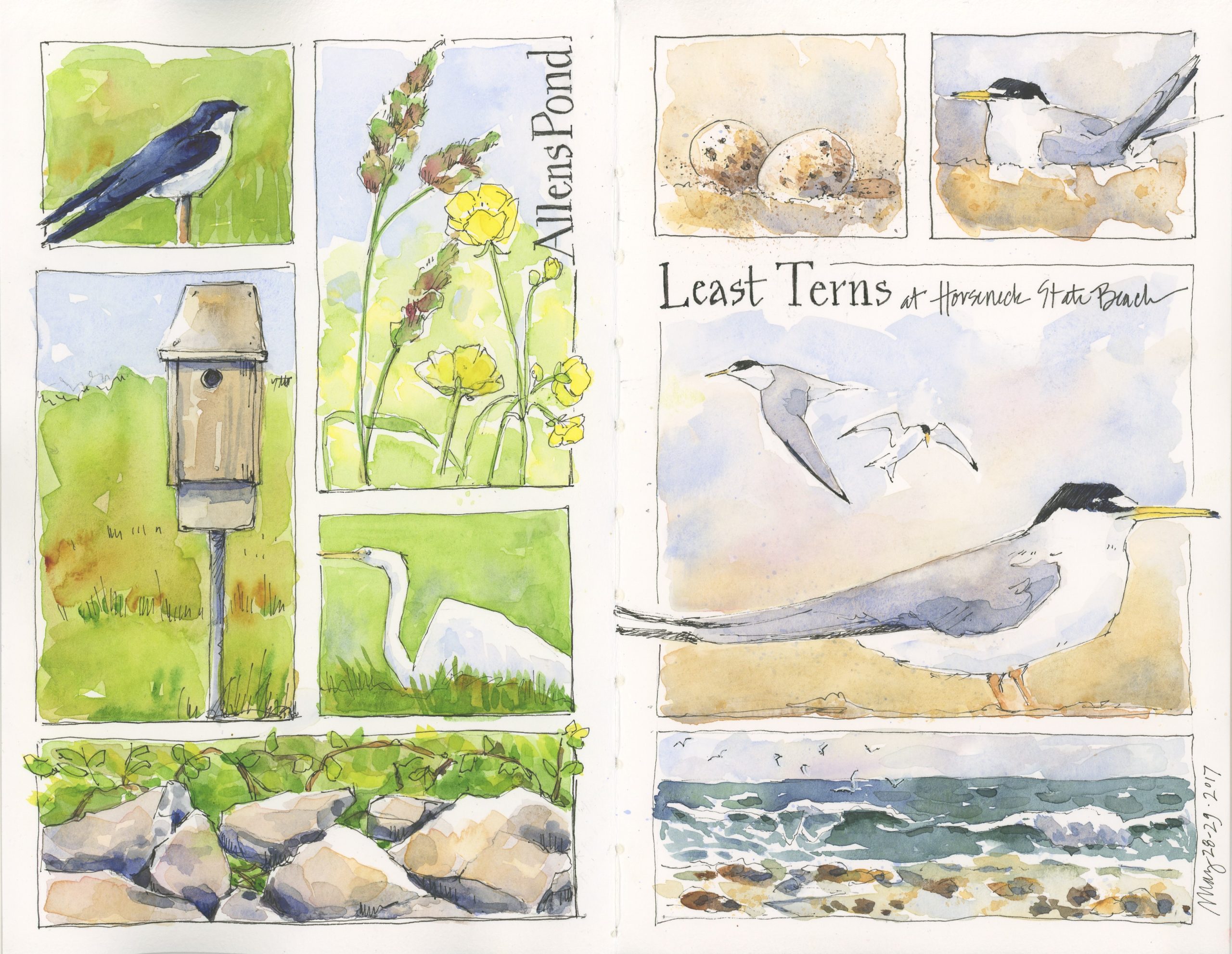 Drawn to Nature - Image 3